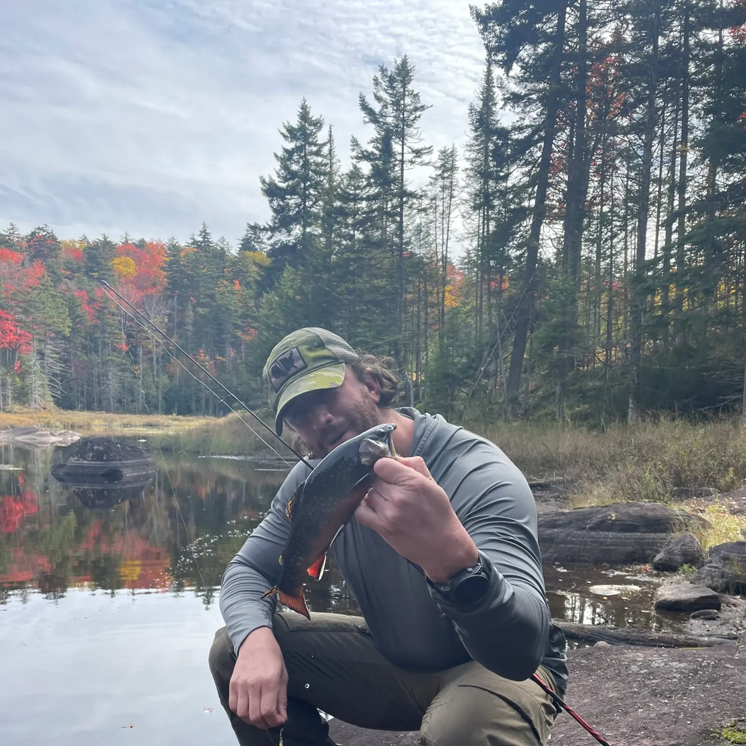 Brook trout caught on Fishbrain