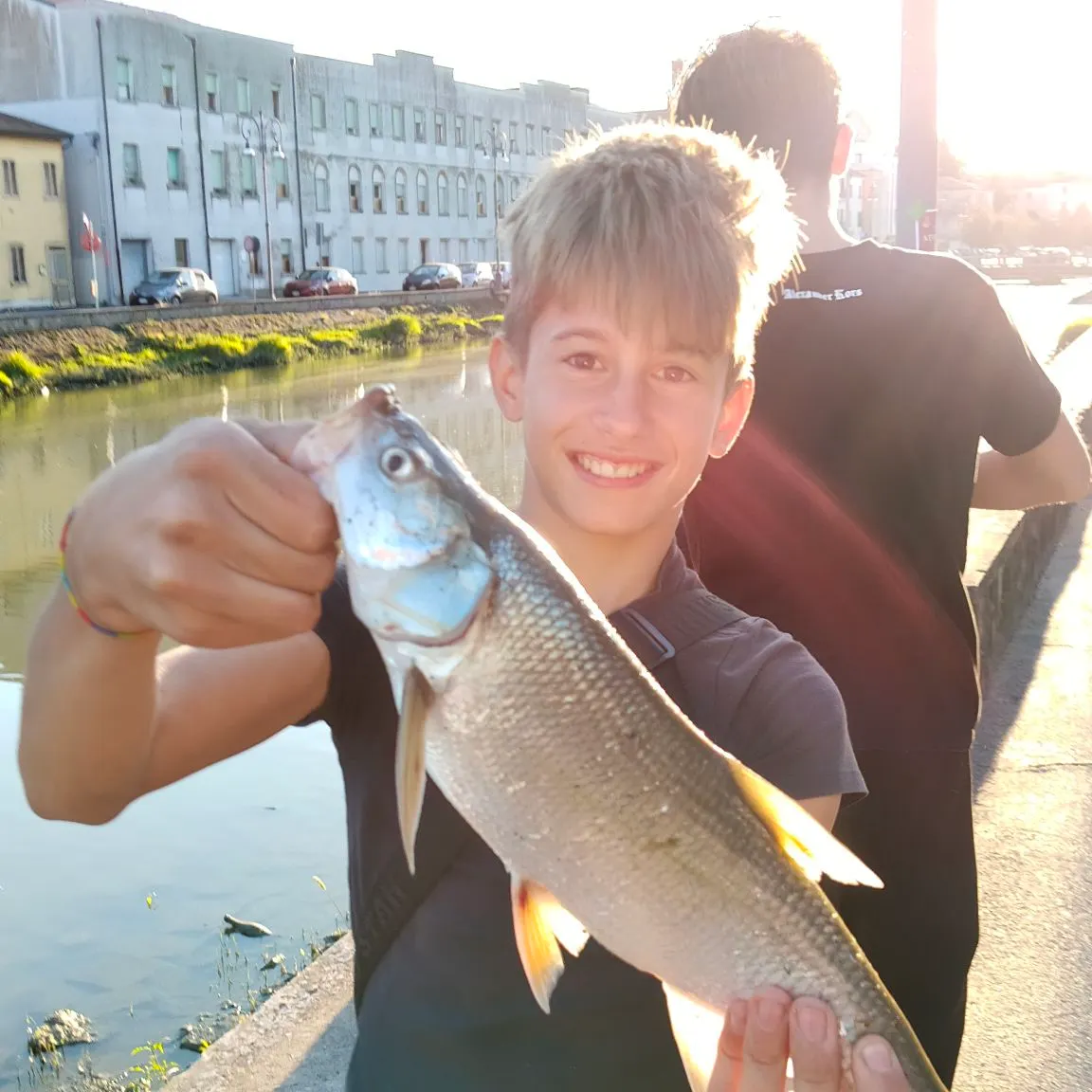 Asp caught on Fishbrain