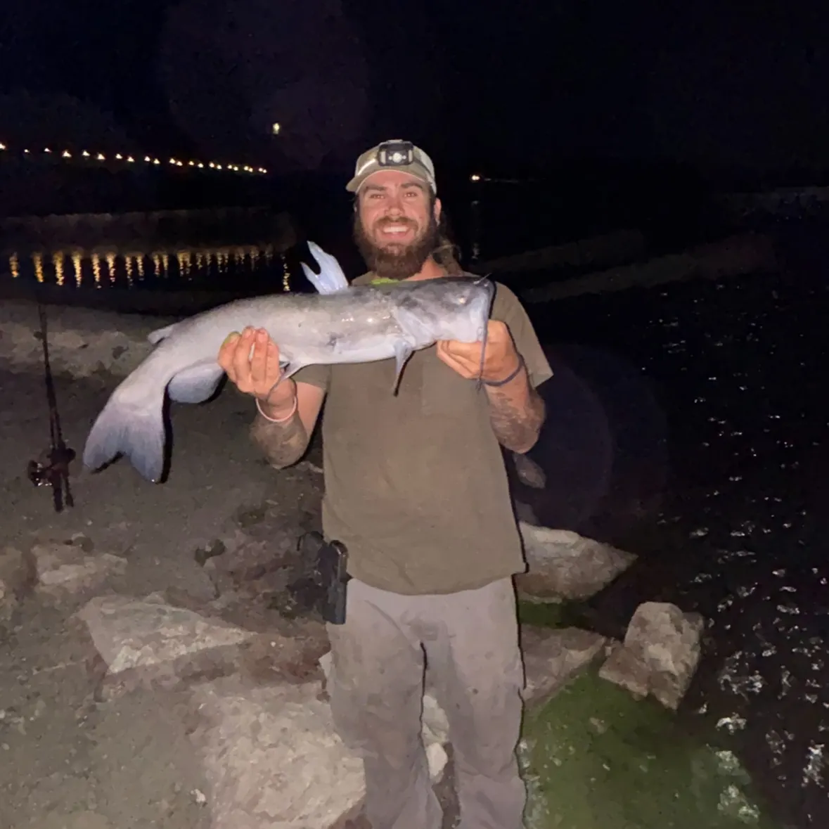 Channel catfish caught on Fishbrain