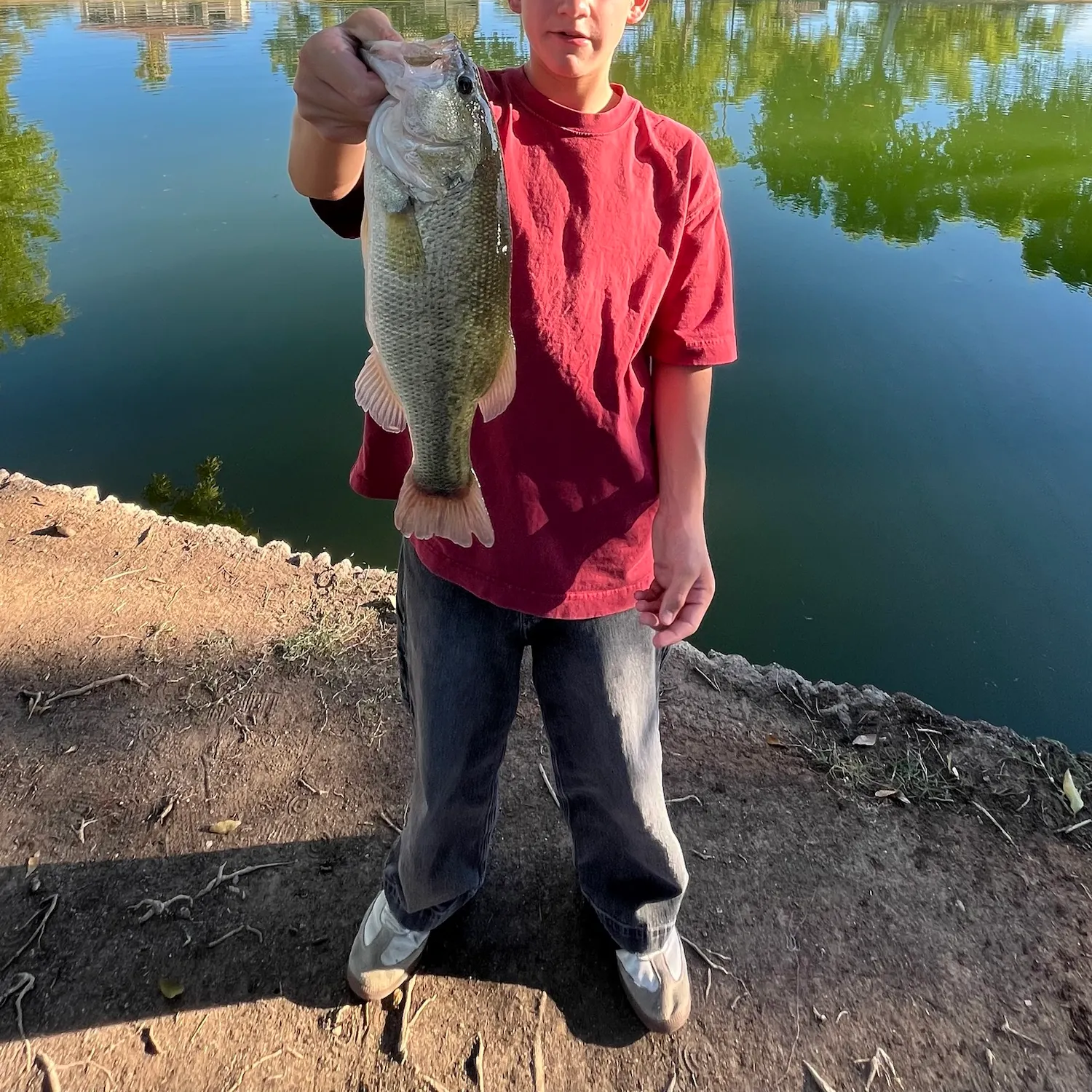 Largemouth bass caught on Fishbrain
