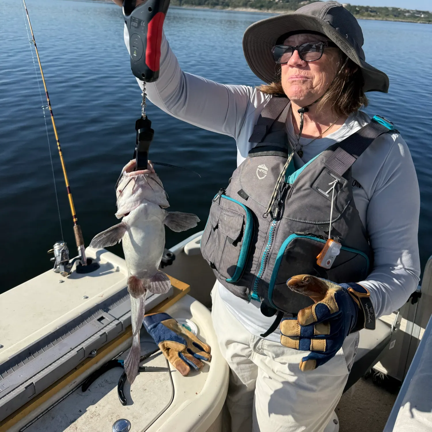 Channel catfish caught on Fishbrain