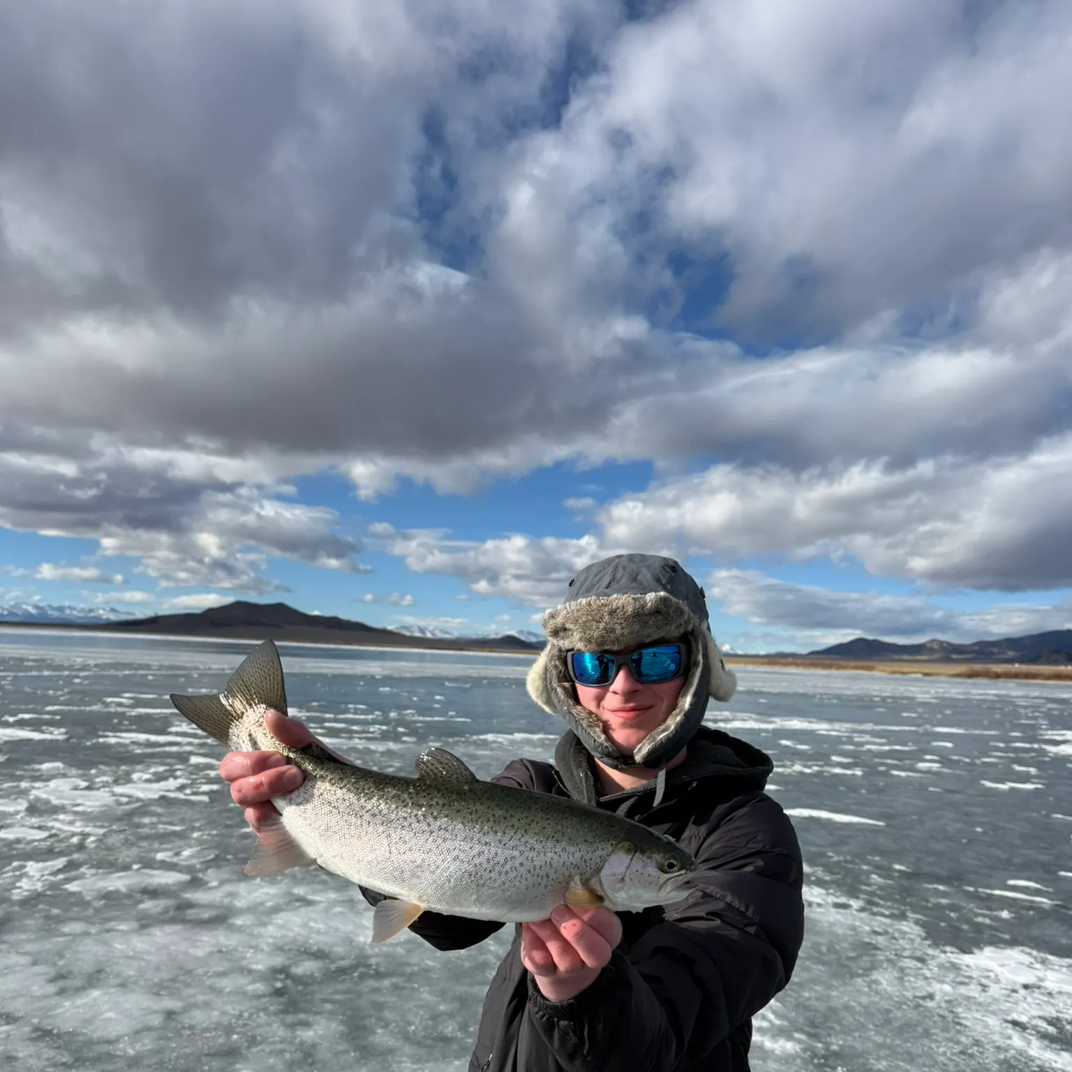 The most recent Rainbow trout catches on Fishbrain