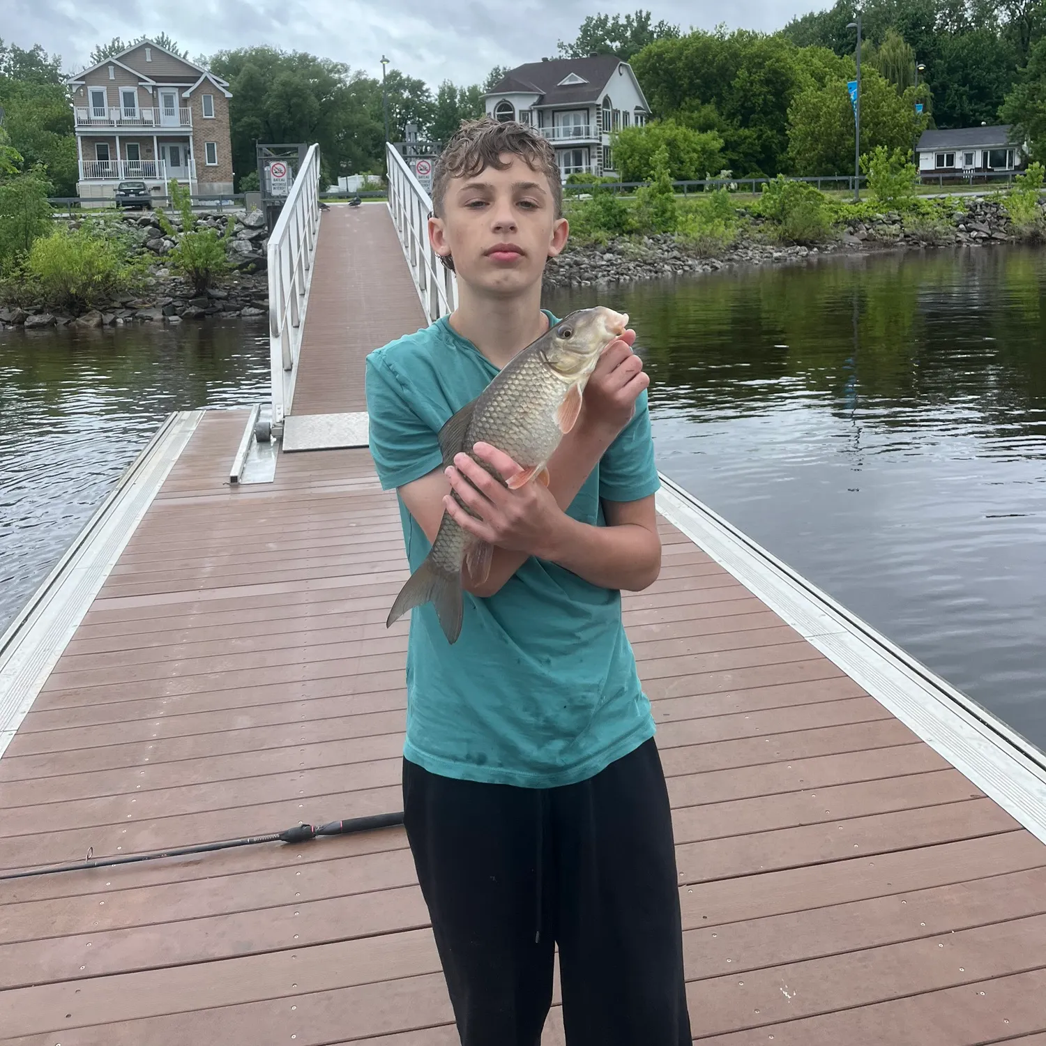 The most recent Quillback catches on Fishbrain
