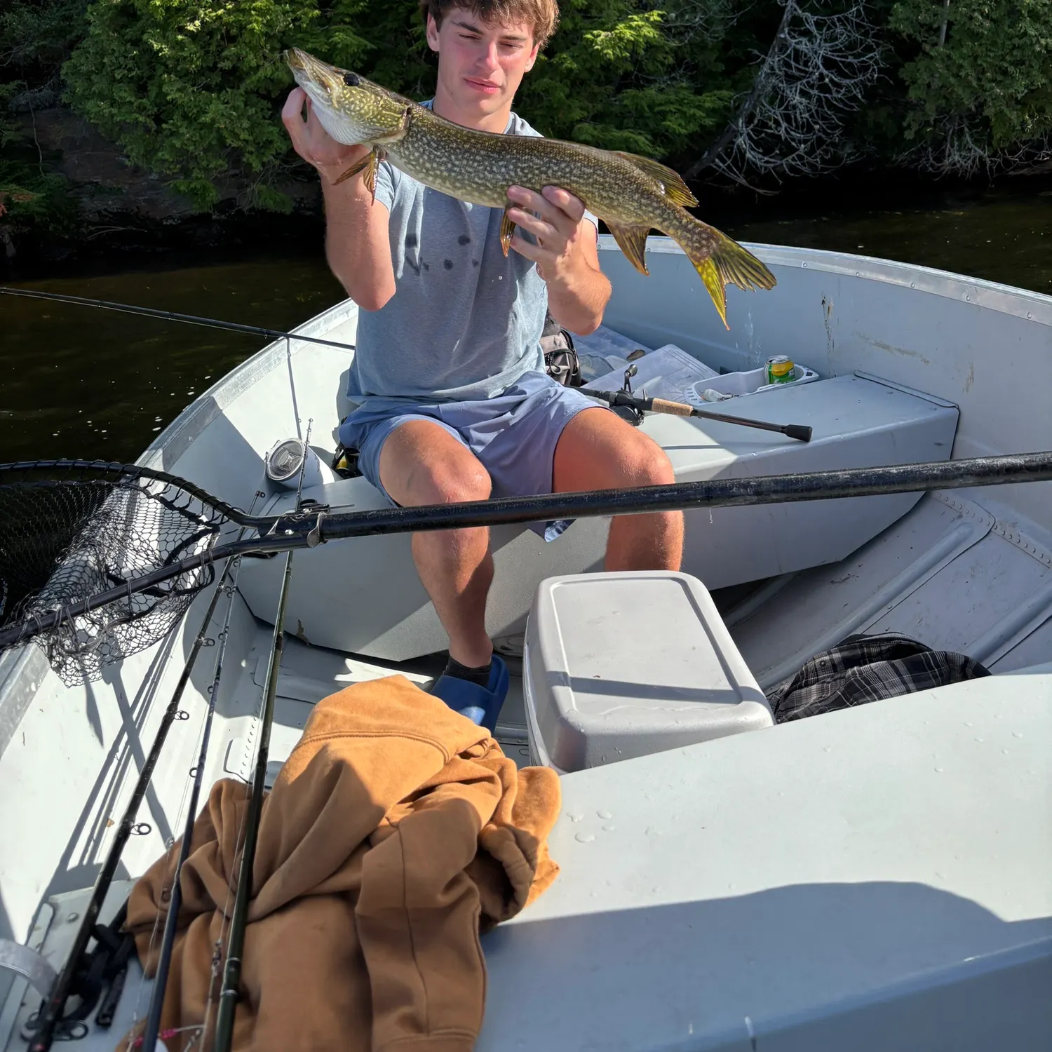 Northern pike caught on Fishbrain