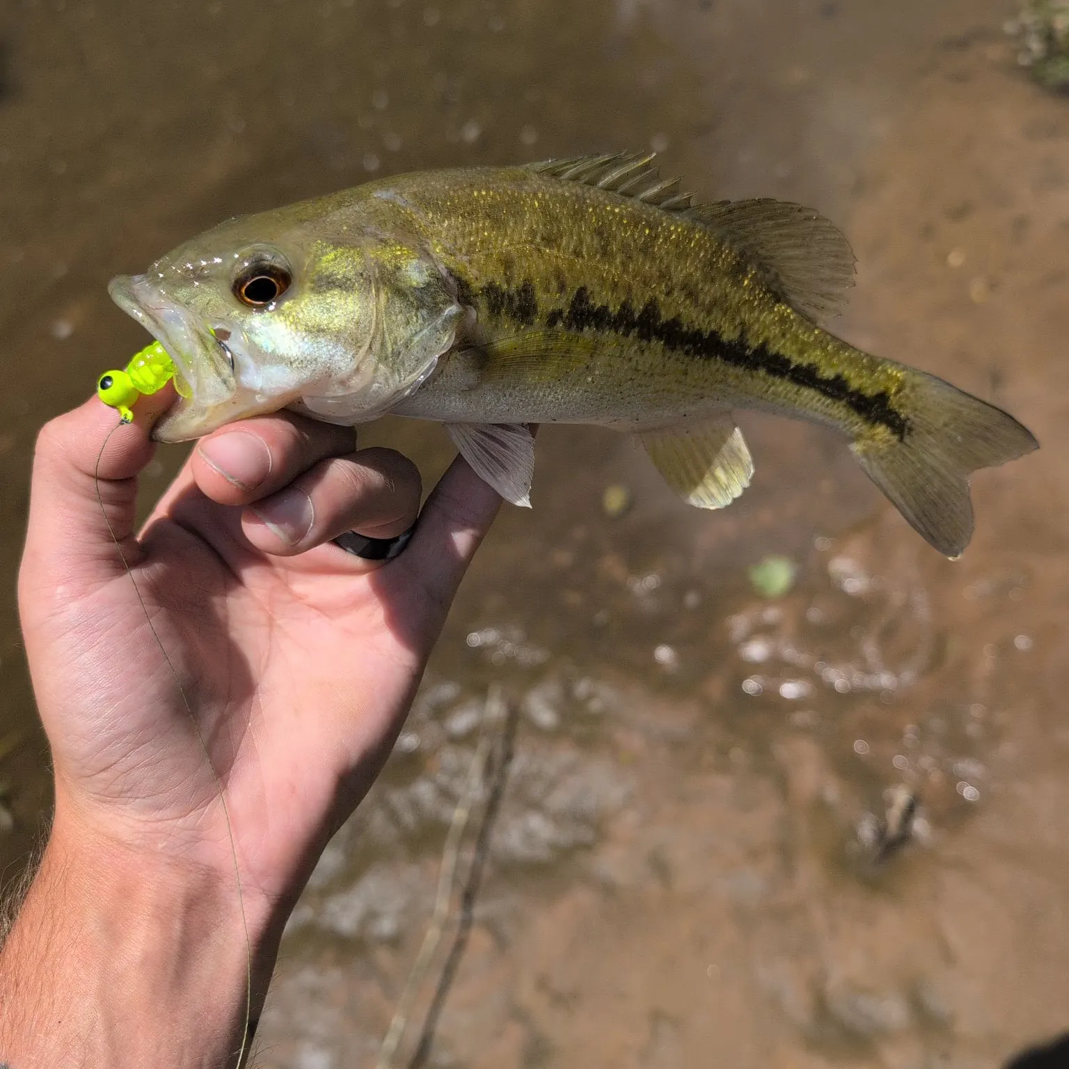 angler catch