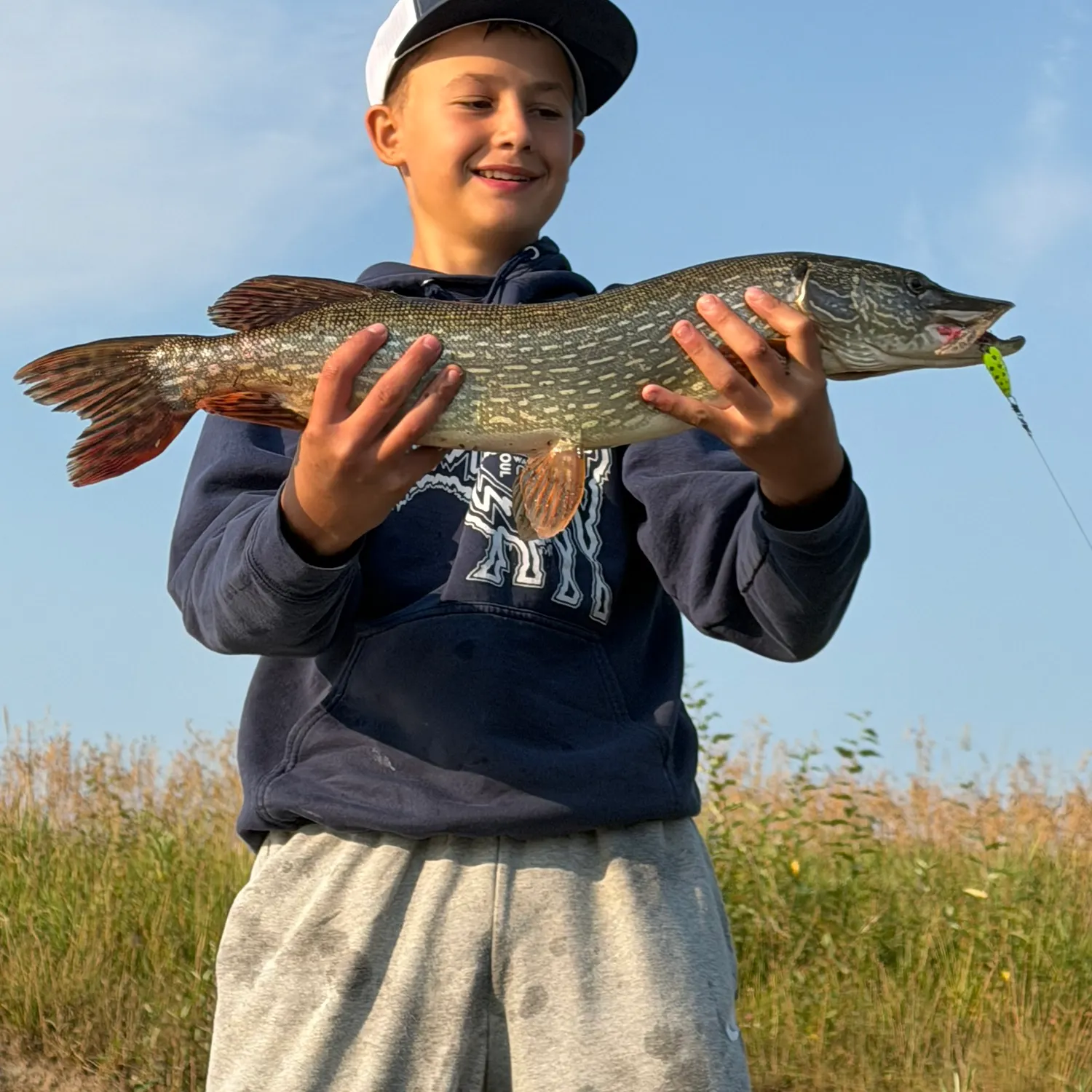 Northern pike caught on Fishbrain