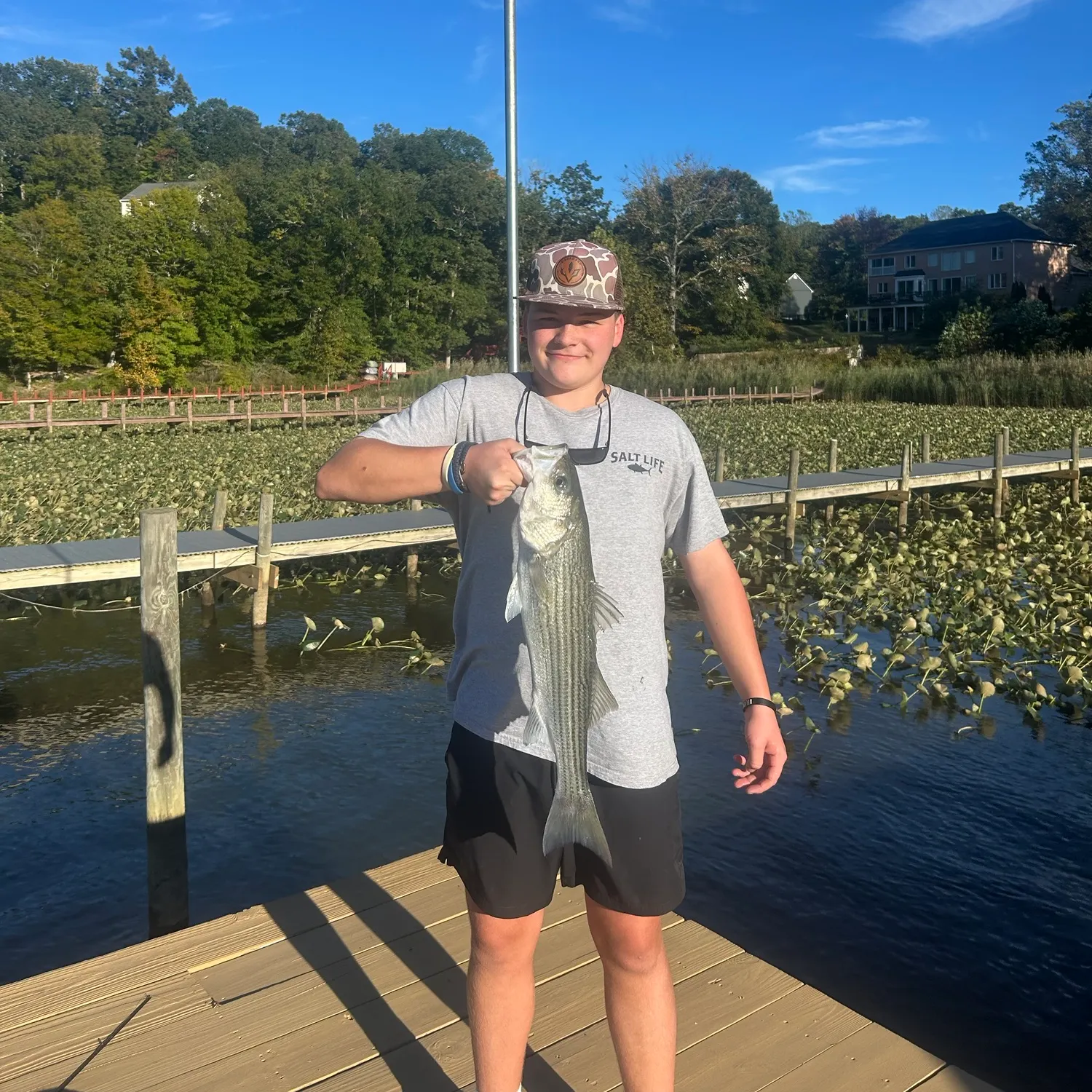 Striped bass caught on Fishbrain