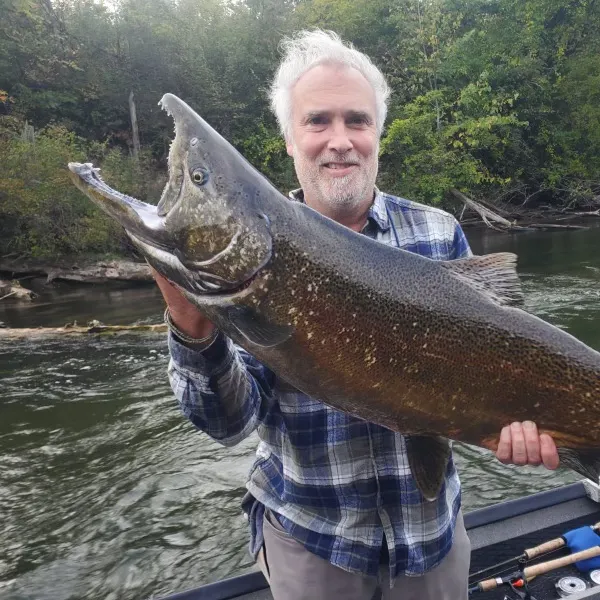 Chinook salmon caught on Fishbrain