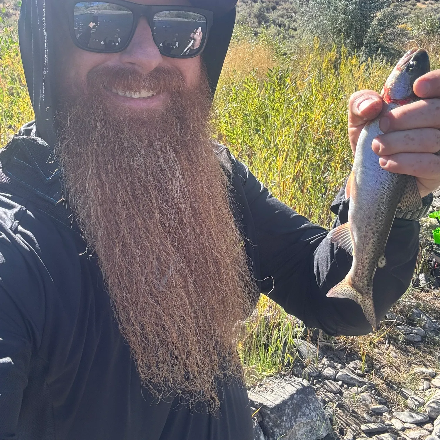 Rainbow trout caught on Fishbrain