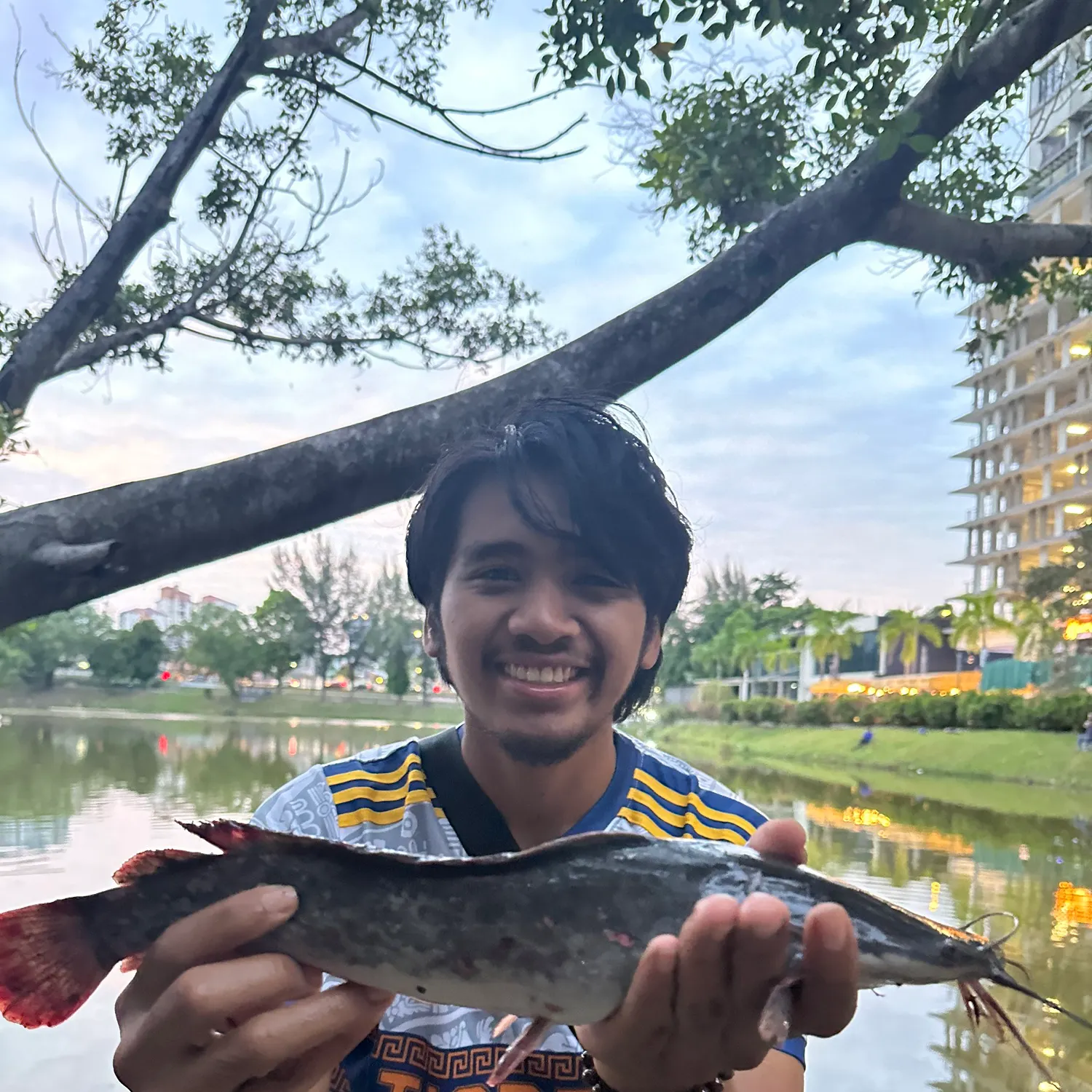 The most recent North African catfish catches on Fishbrain