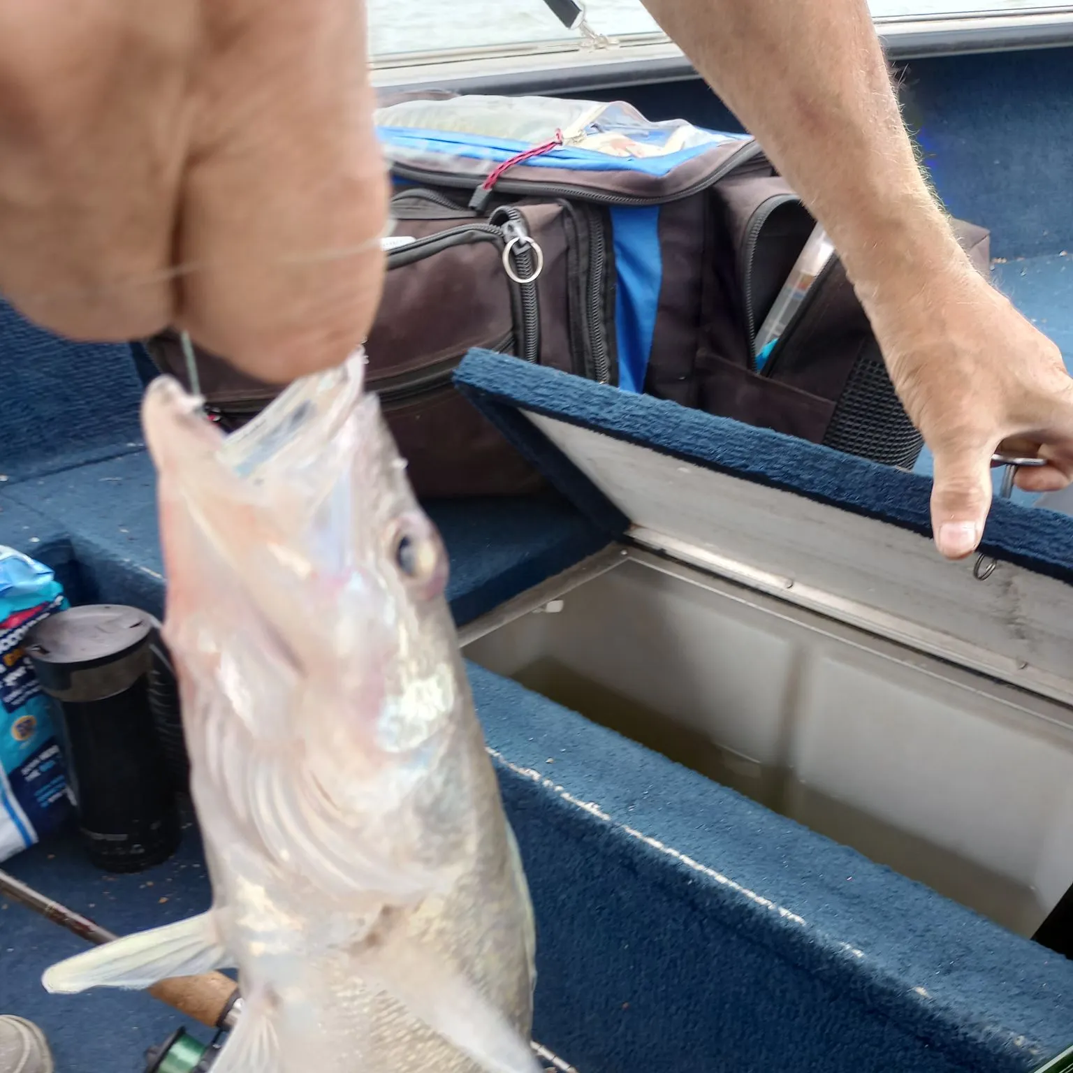 catch