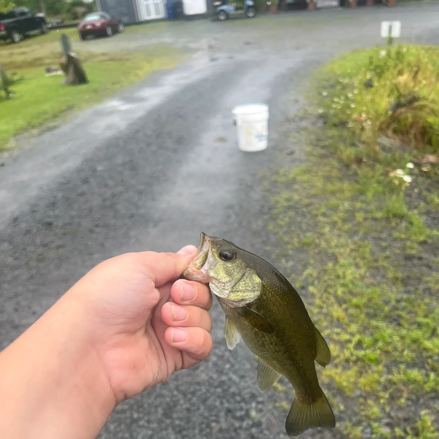 catch
