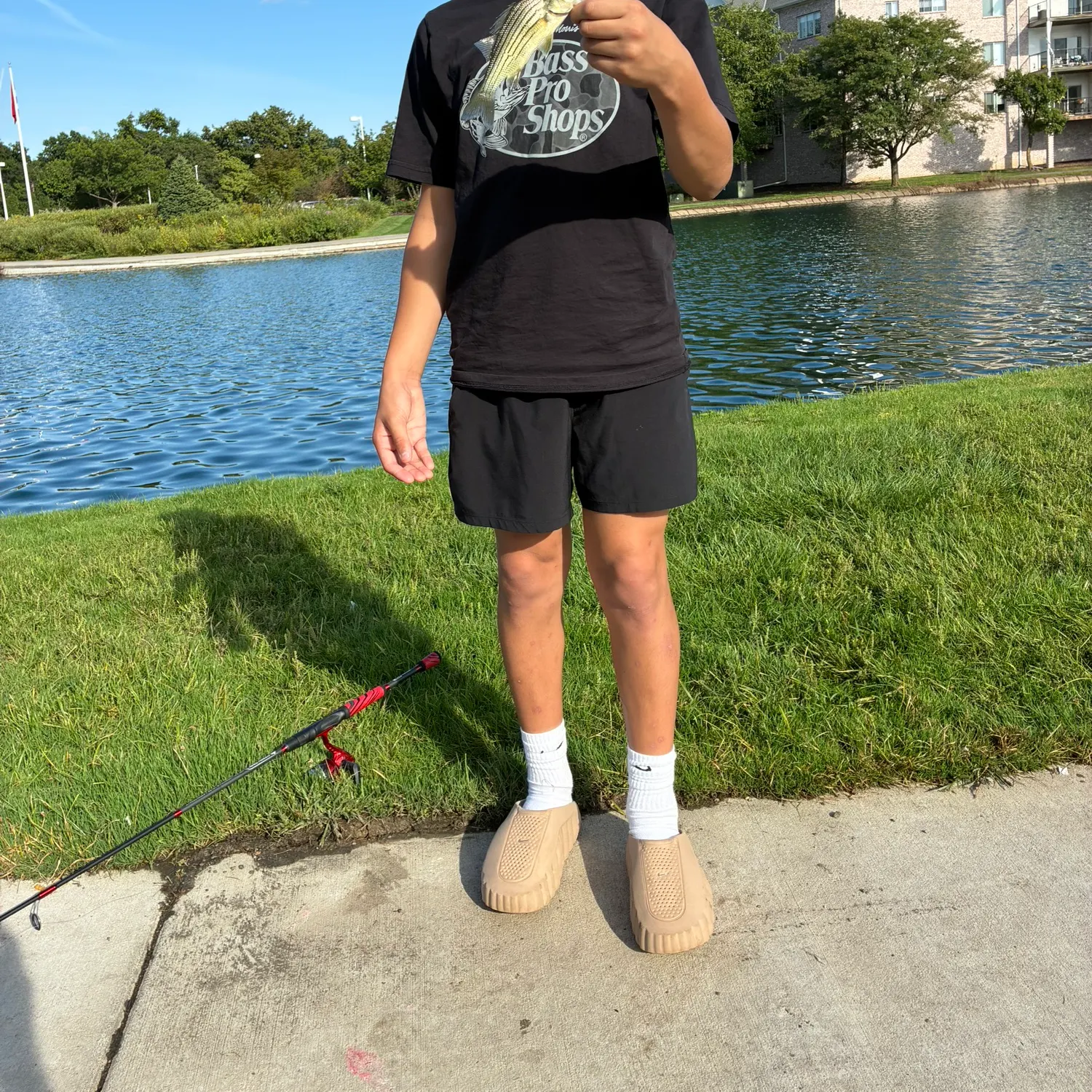 Yellow bass caught on Fishbrain