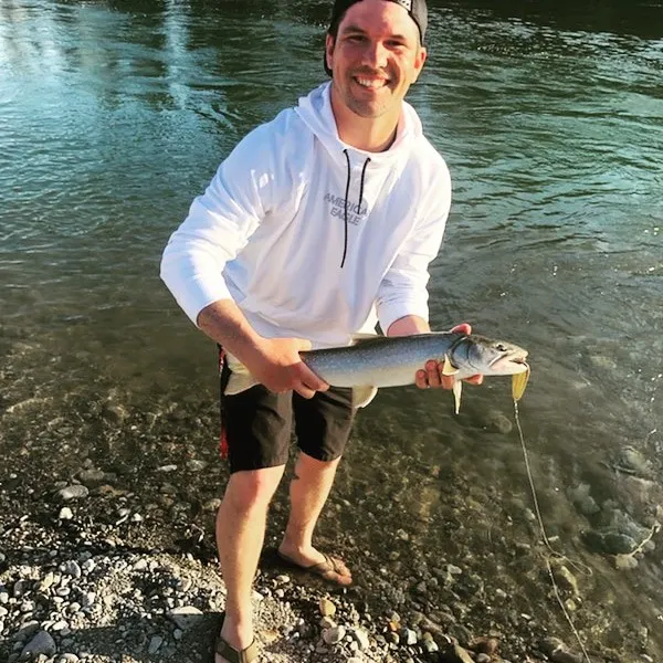 Dolly varden caught on Fishbrain