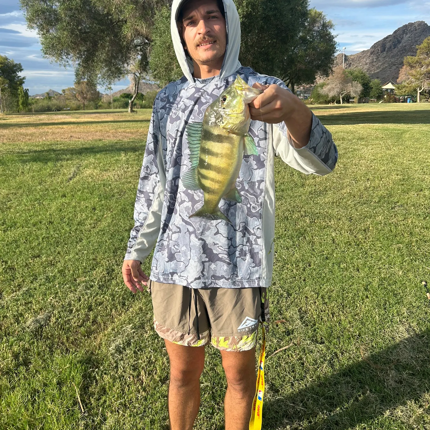 The most recent Blue peacock bass catches on Fishbrain