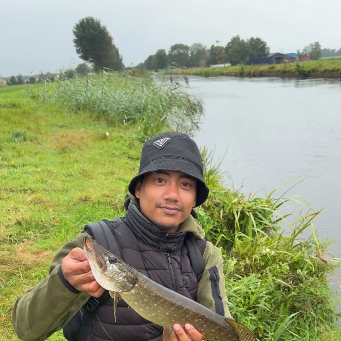 Northern pike caught on Fishbrain