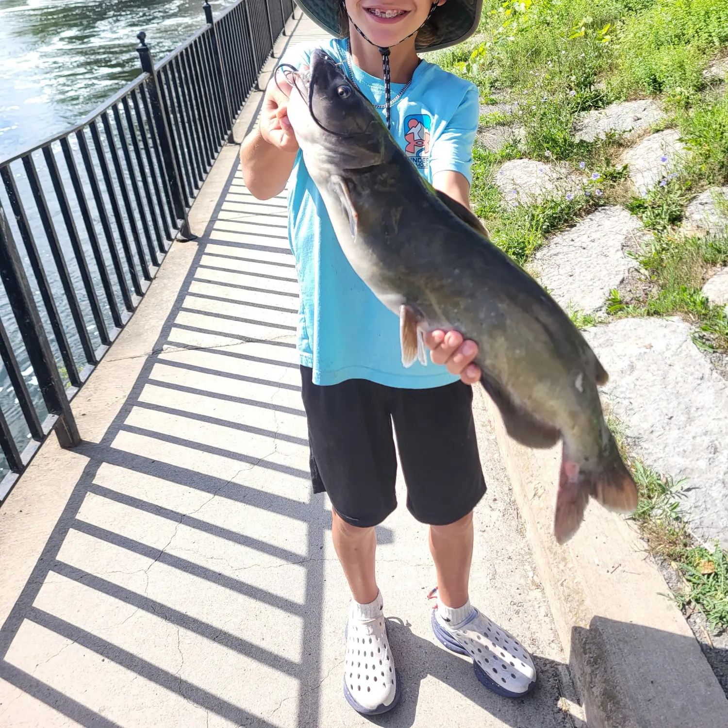 Channel catfish caught on Fishbrain