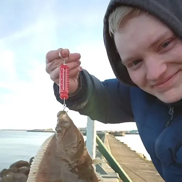 The most recent European plaice catches on Fishbrain