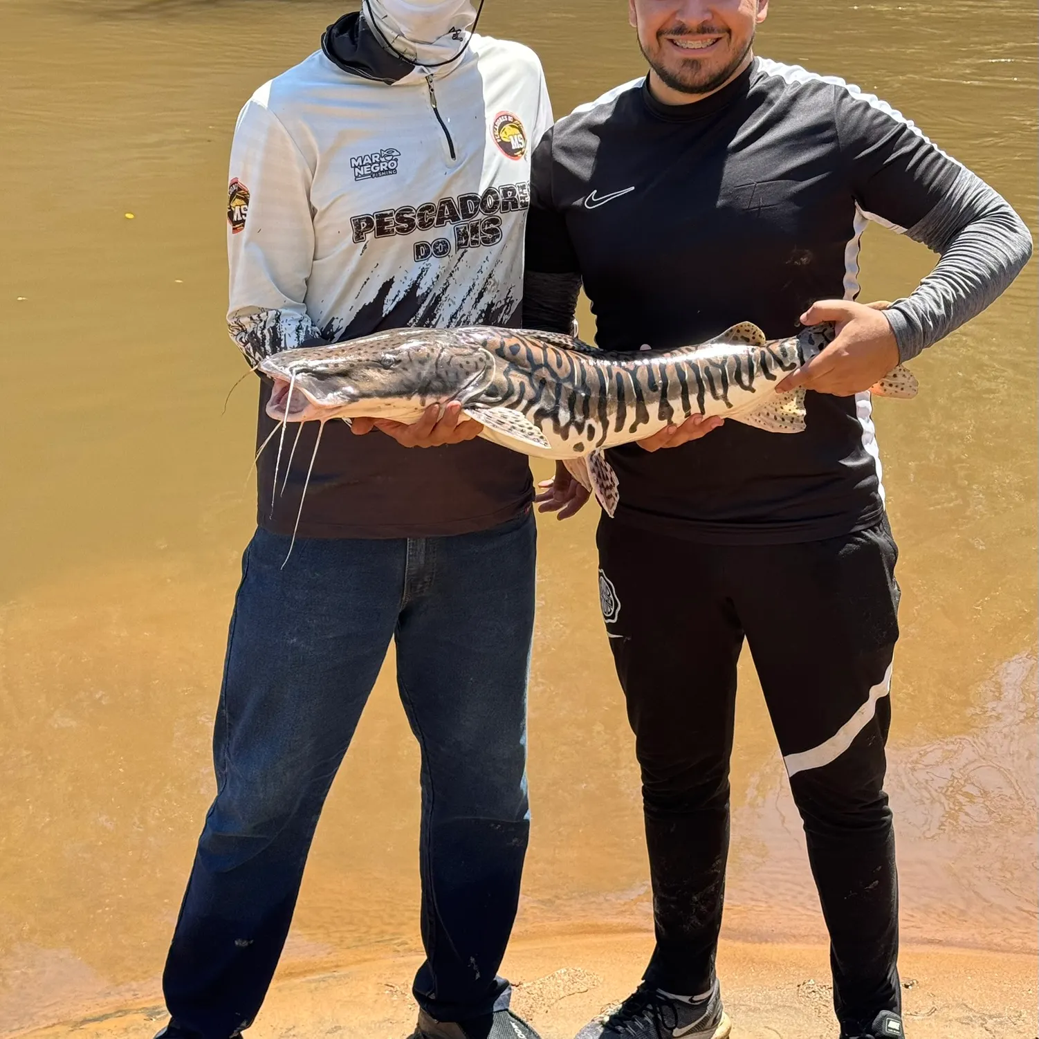 The most recent Barred sorubim catches on Fishbrain