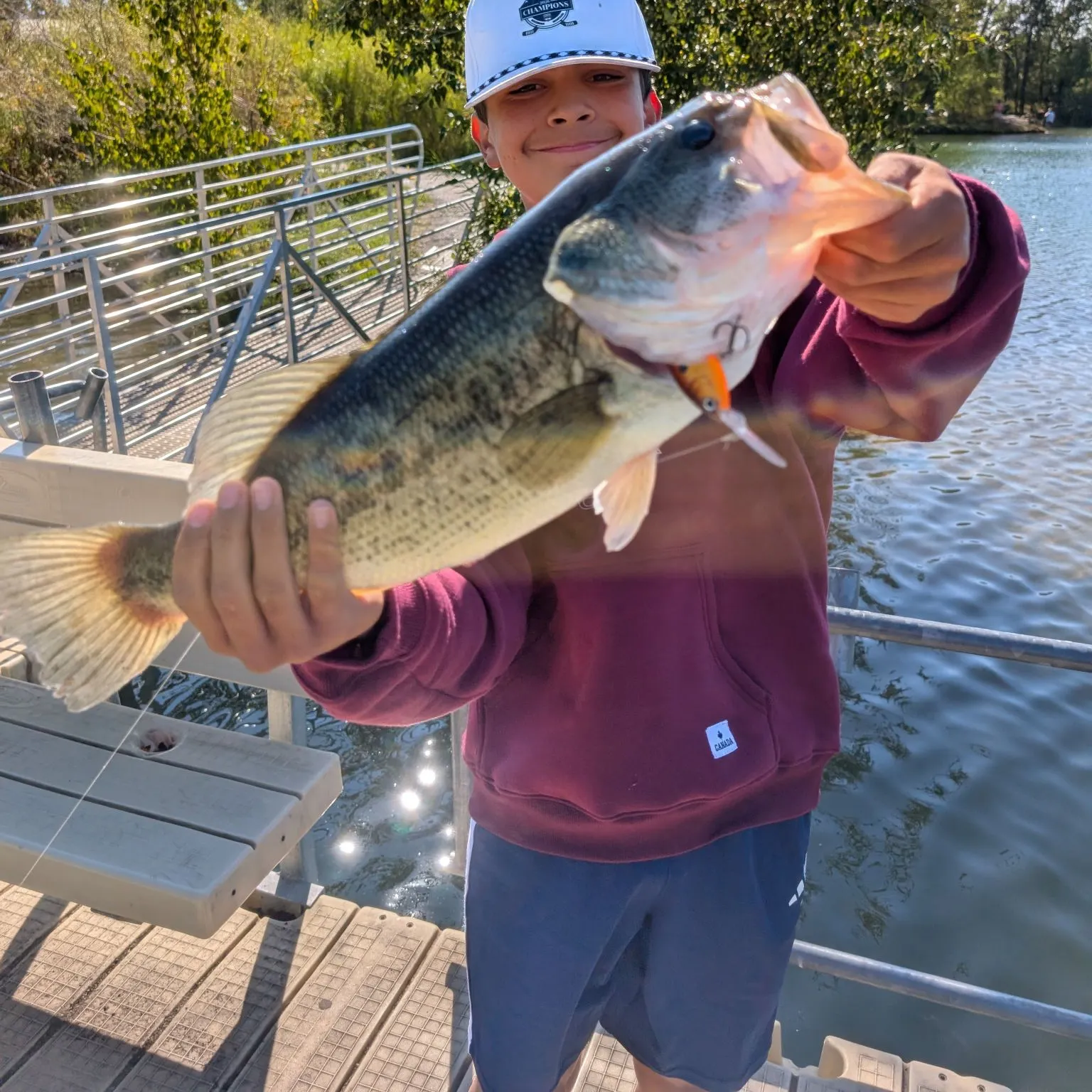 Largemouth bass caught on Fishbrain