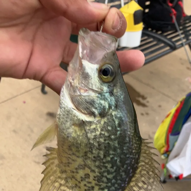 bulk boxes fishing The Best Tackle Boxes for Fishing of 2025