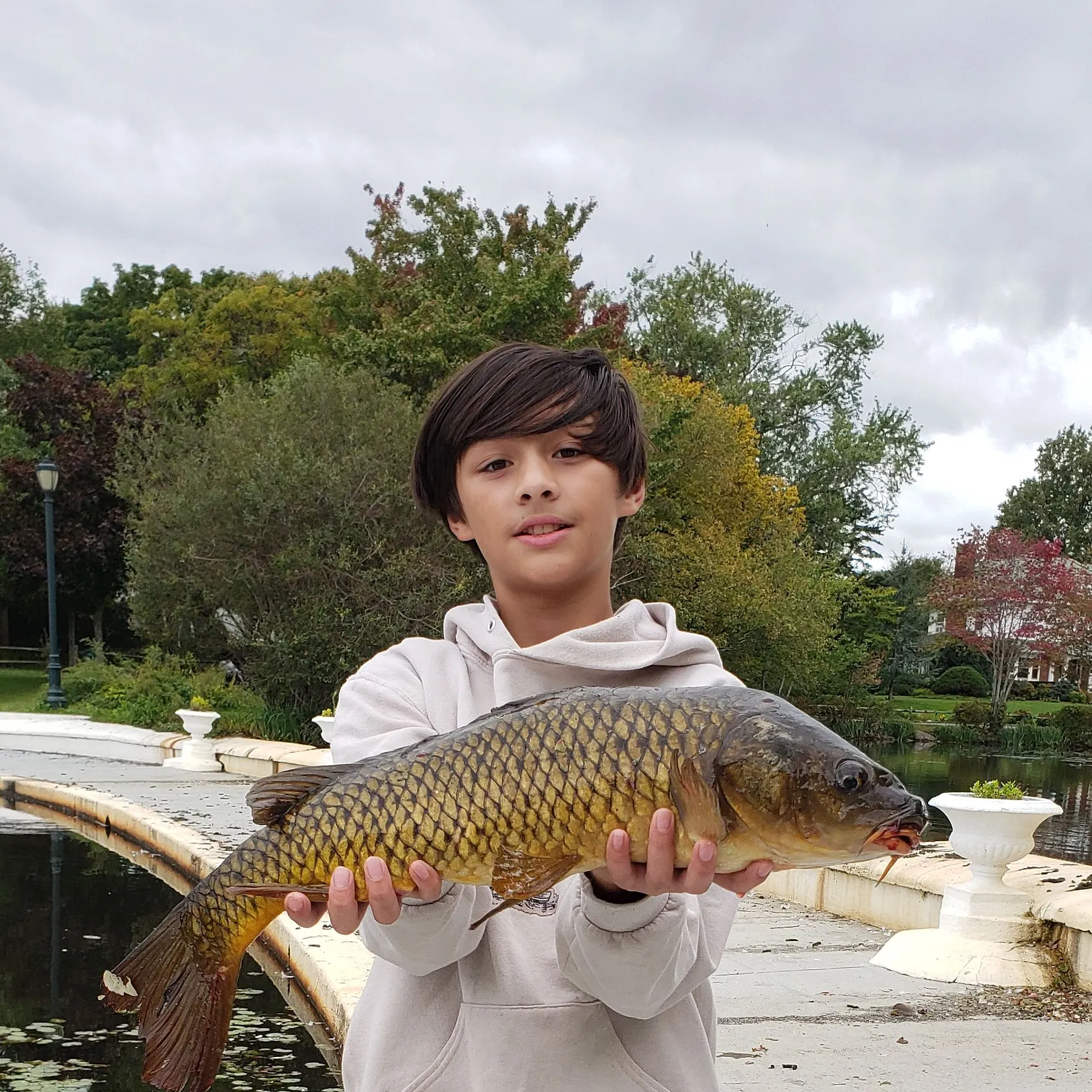Common carp caught on Fishbrain