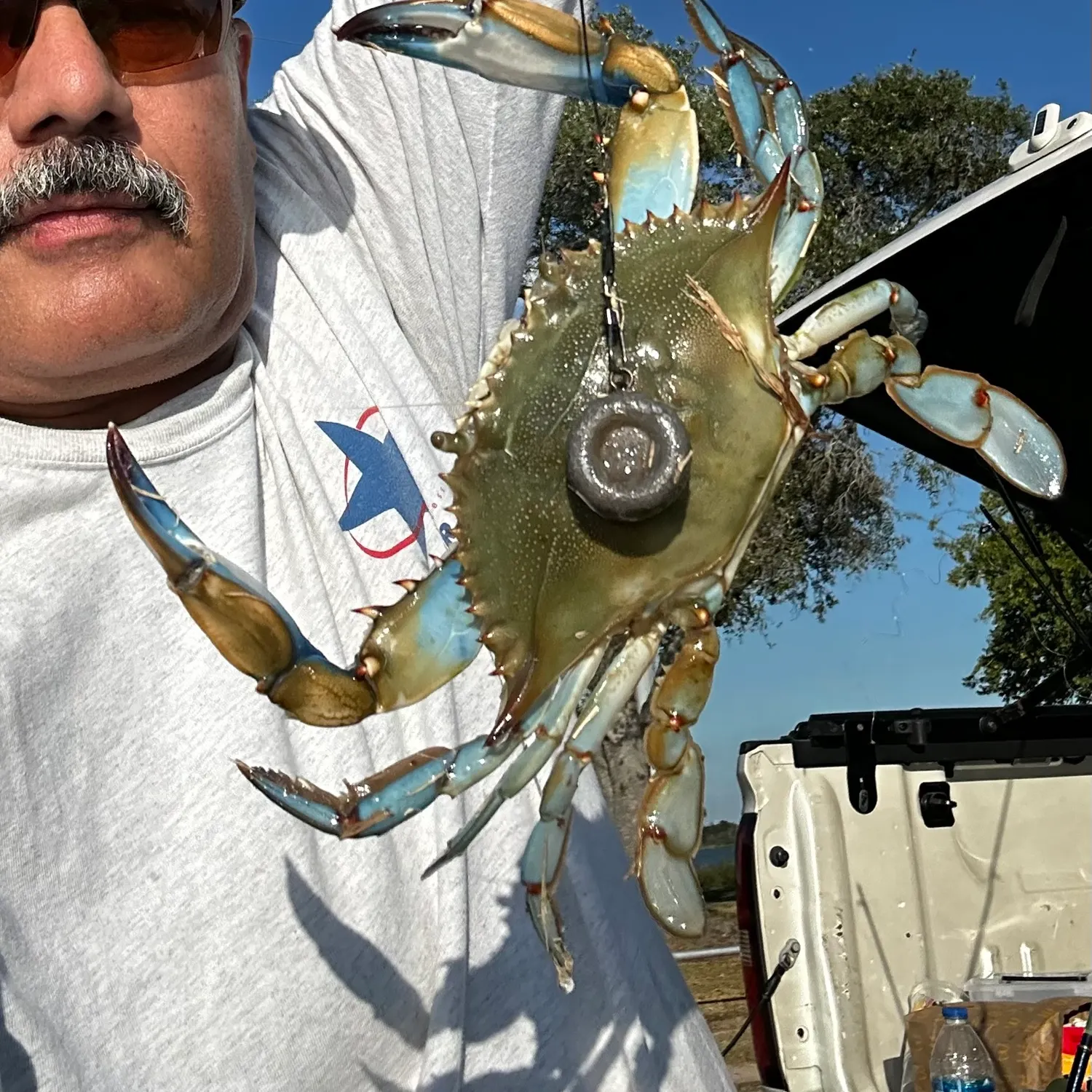 The most recent Blue crab catches on Fishbrain
