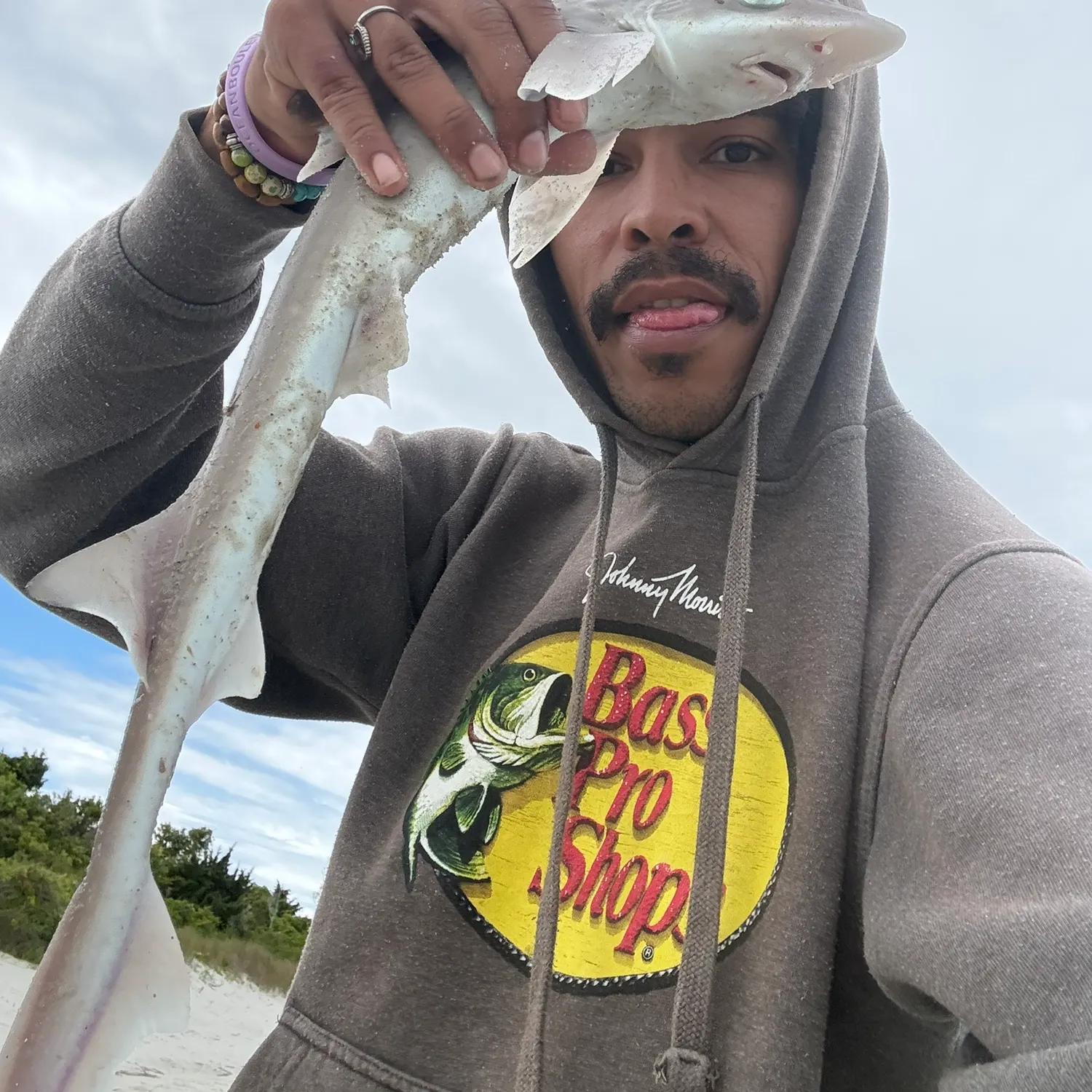 The most recent Dusky smooth-hound catches on Fishbrain