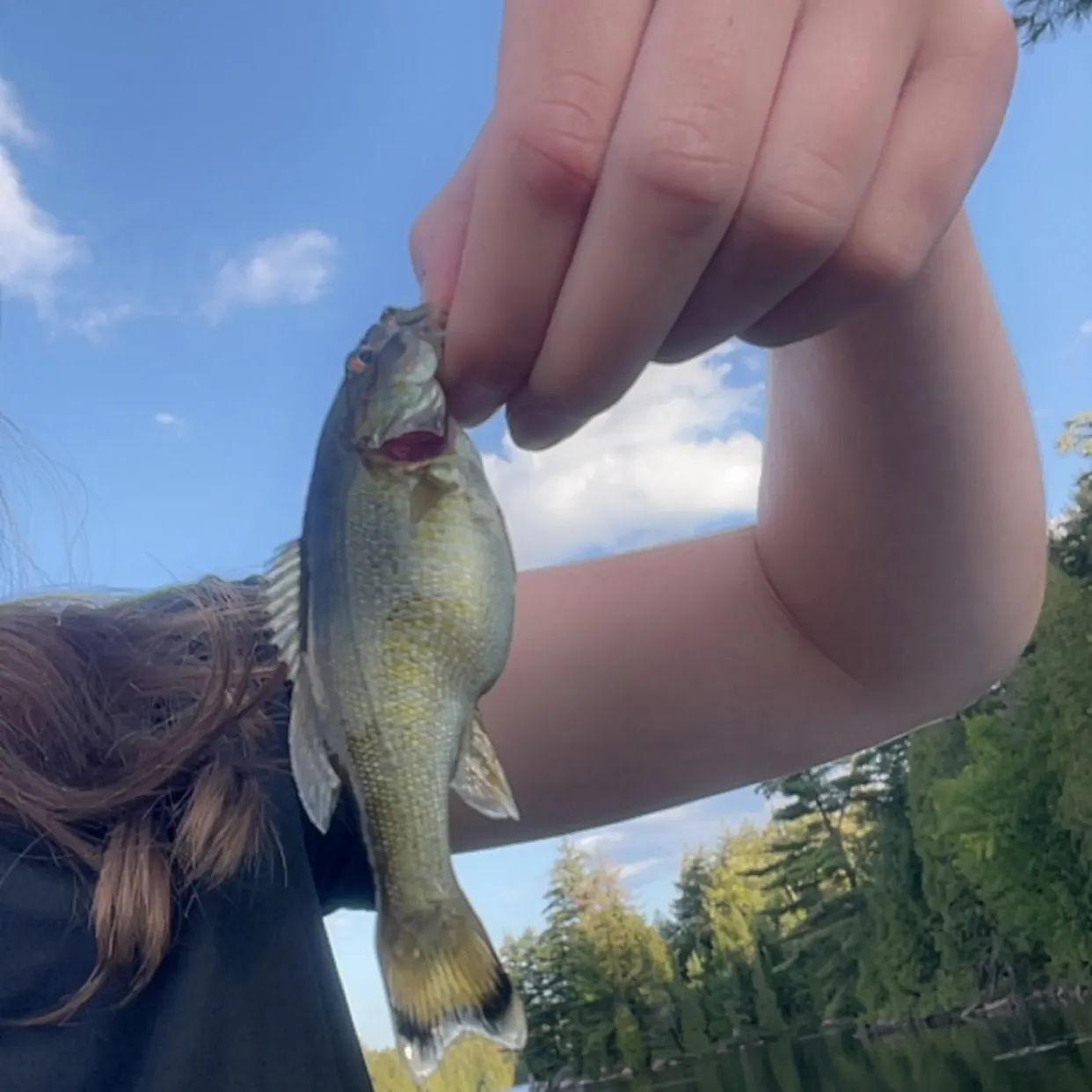 Fish caught on Fishbrain