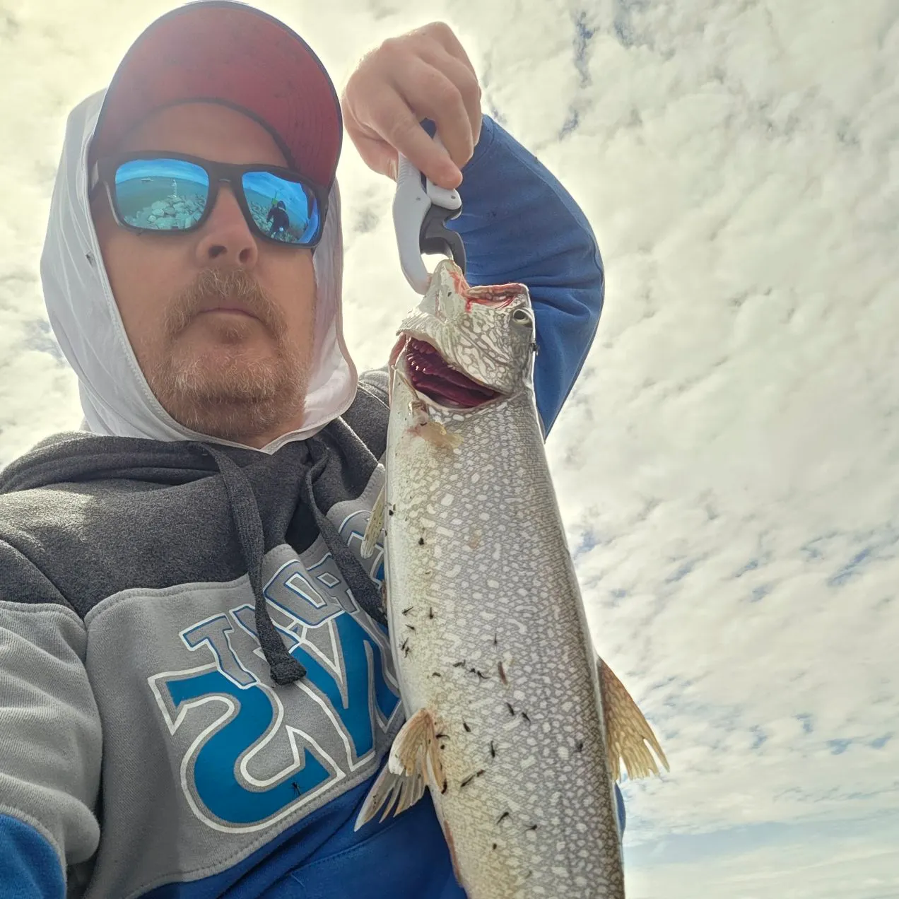 The most recent Lake char catches on Fishbrain