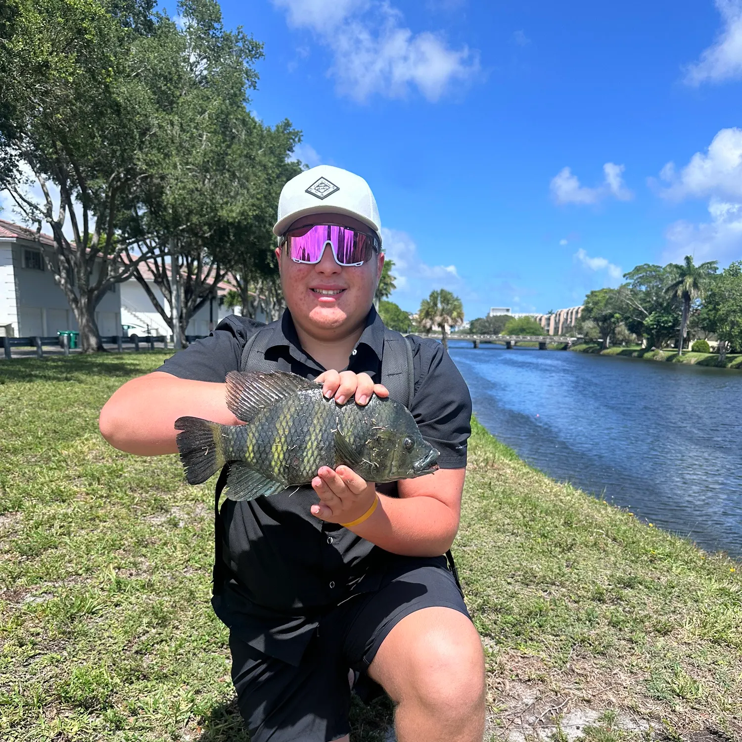 The most recent Zebra tilapia catches on Fishbrain