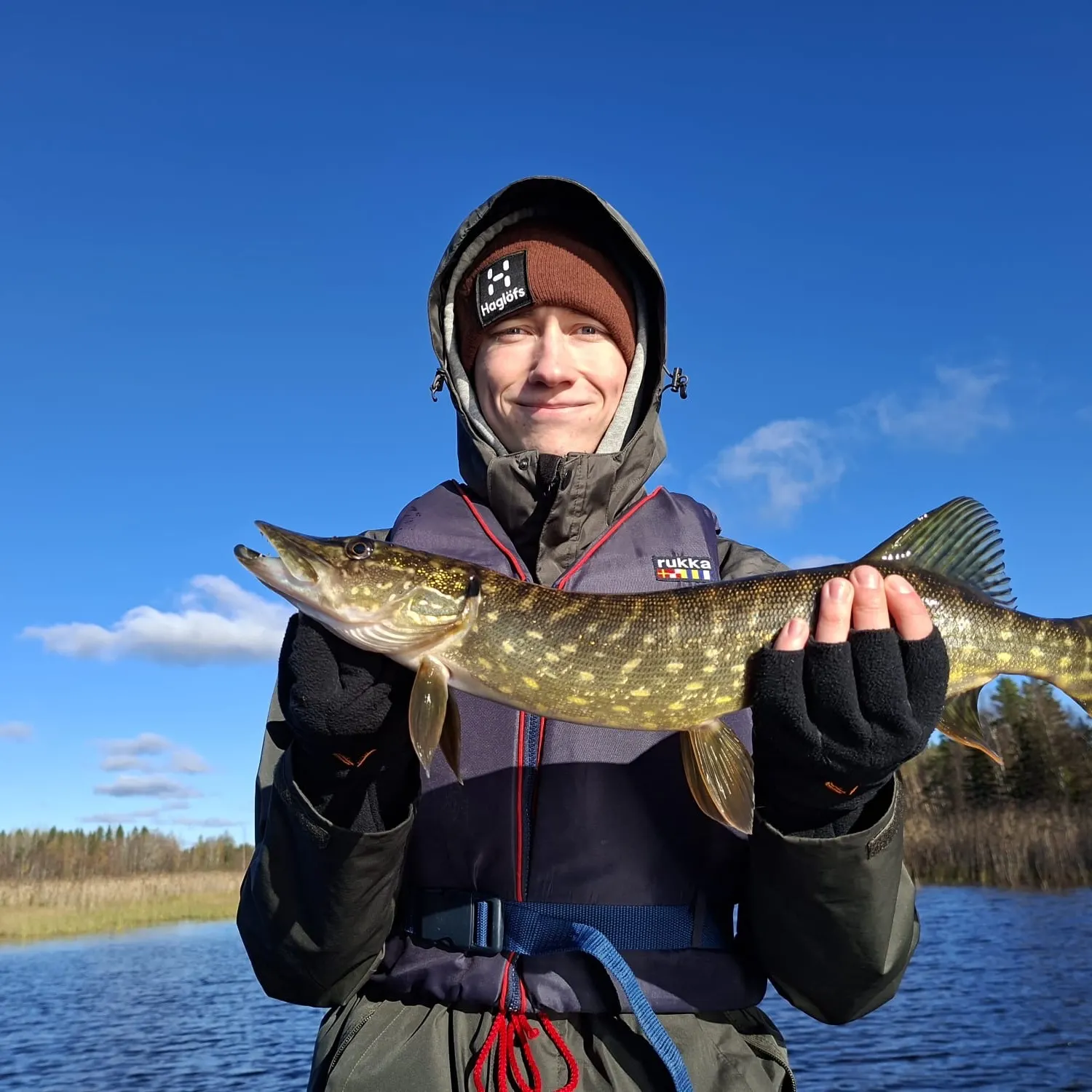 Northern pike caught on Fishbrain