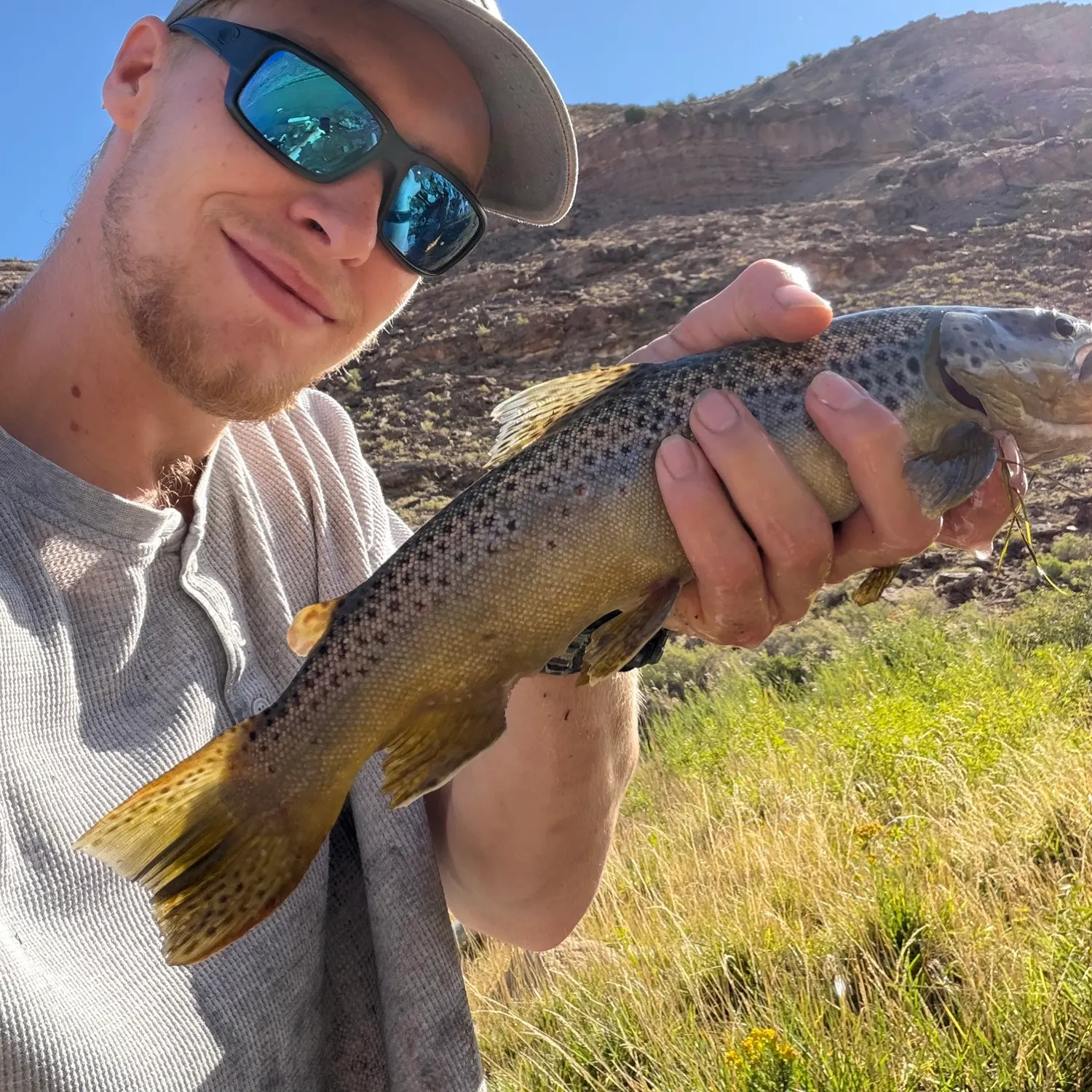 Brown trout caught on Fishbrain