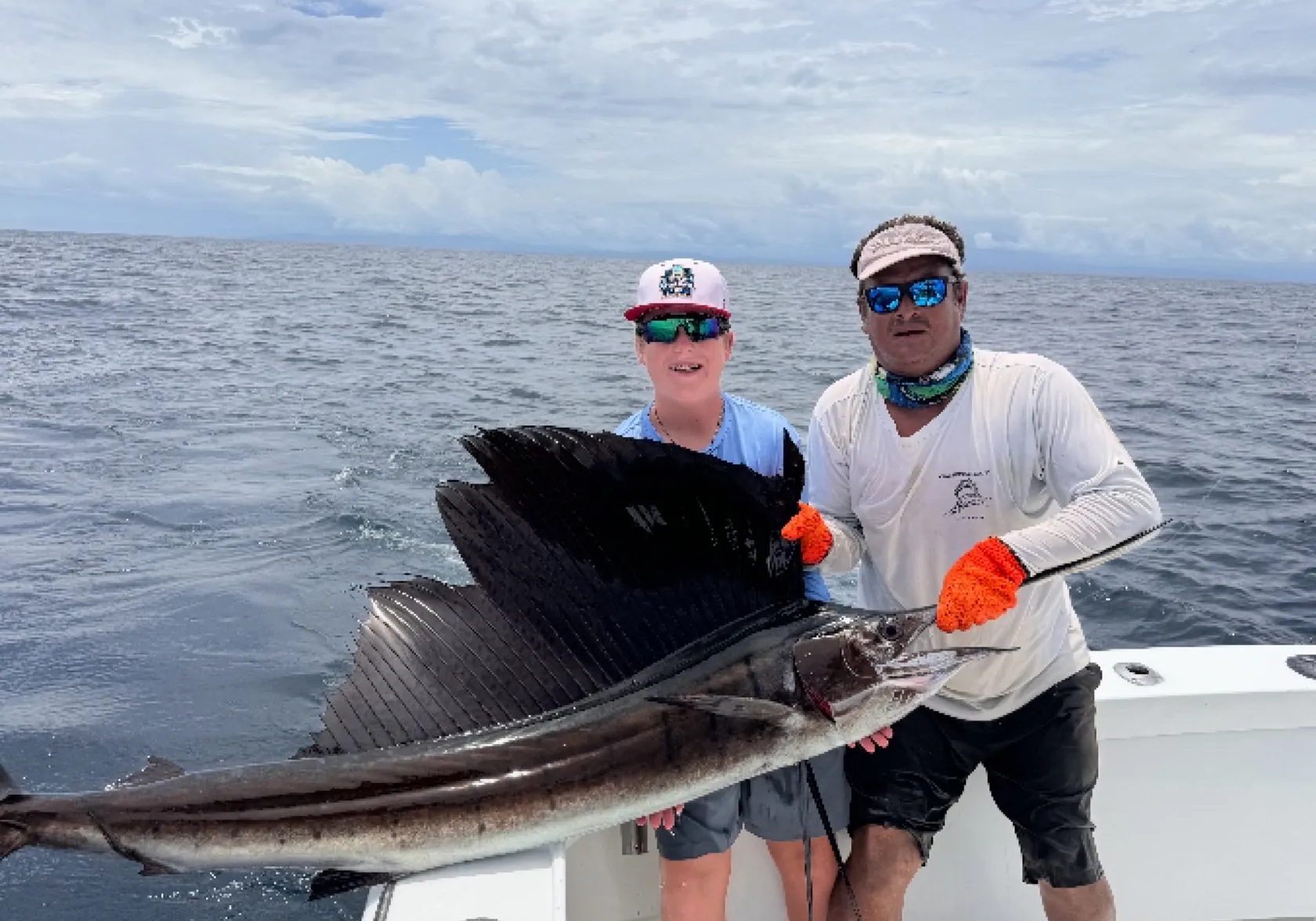 Atlantic sailfish