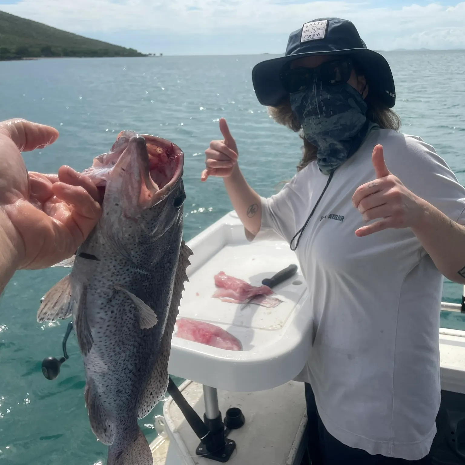 The most recent Malabar grouper catches on Fishbrain