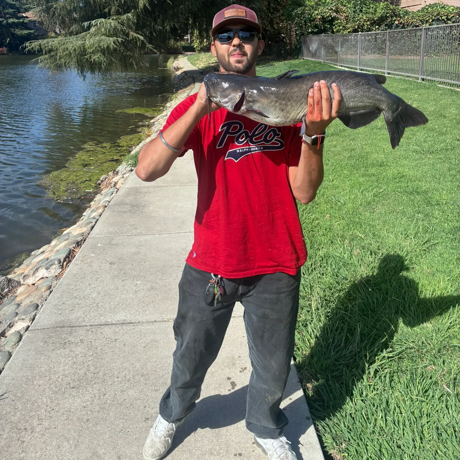 catch