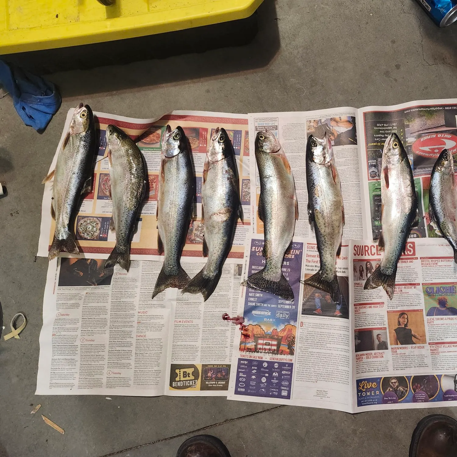 recently logged catches