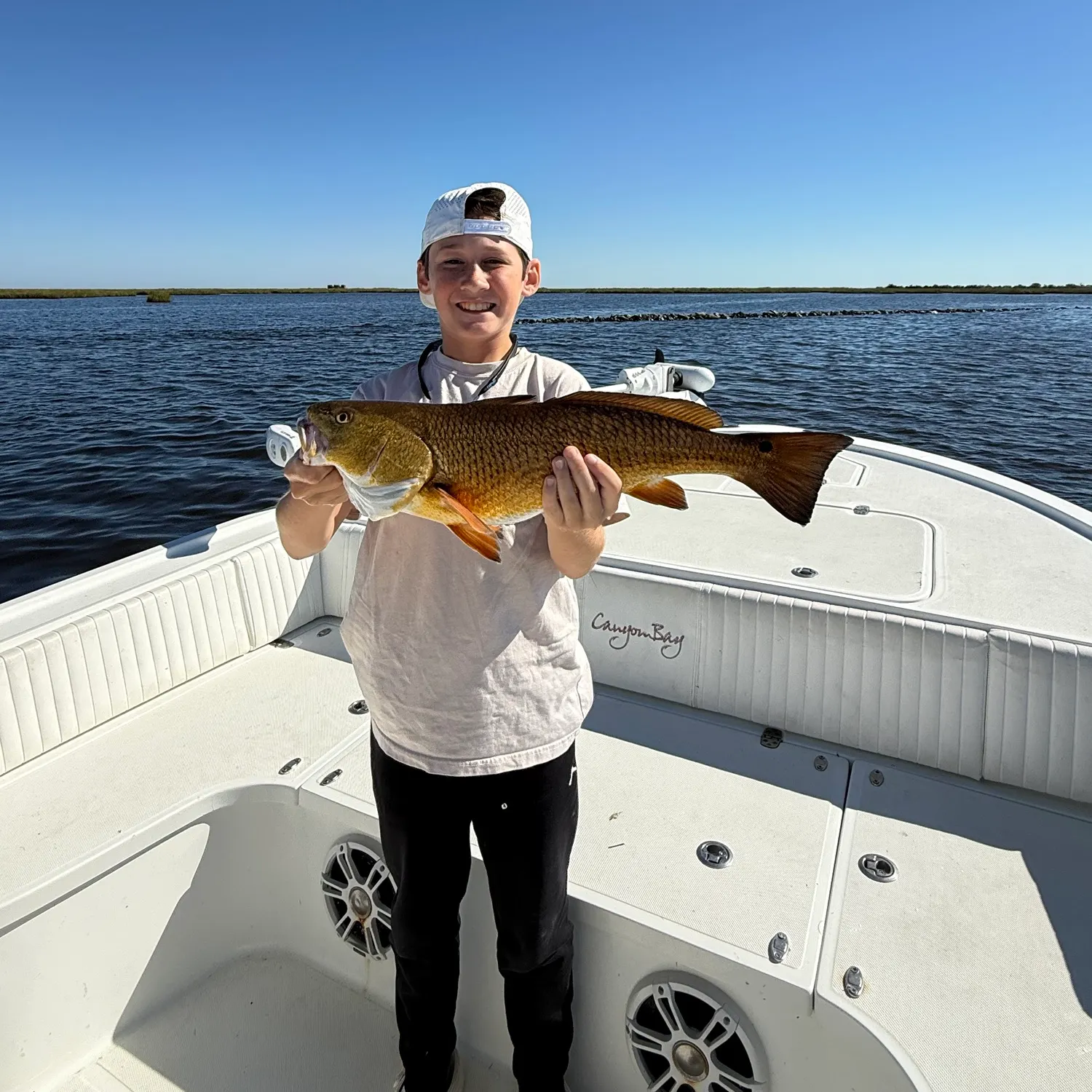 Red drum caught on Fishbrain