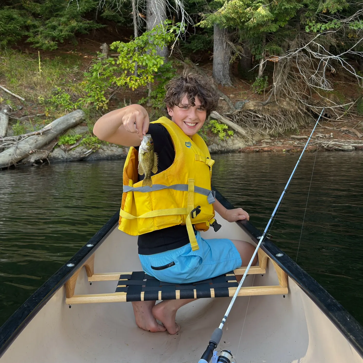 Rock bass caught on Fishbrain