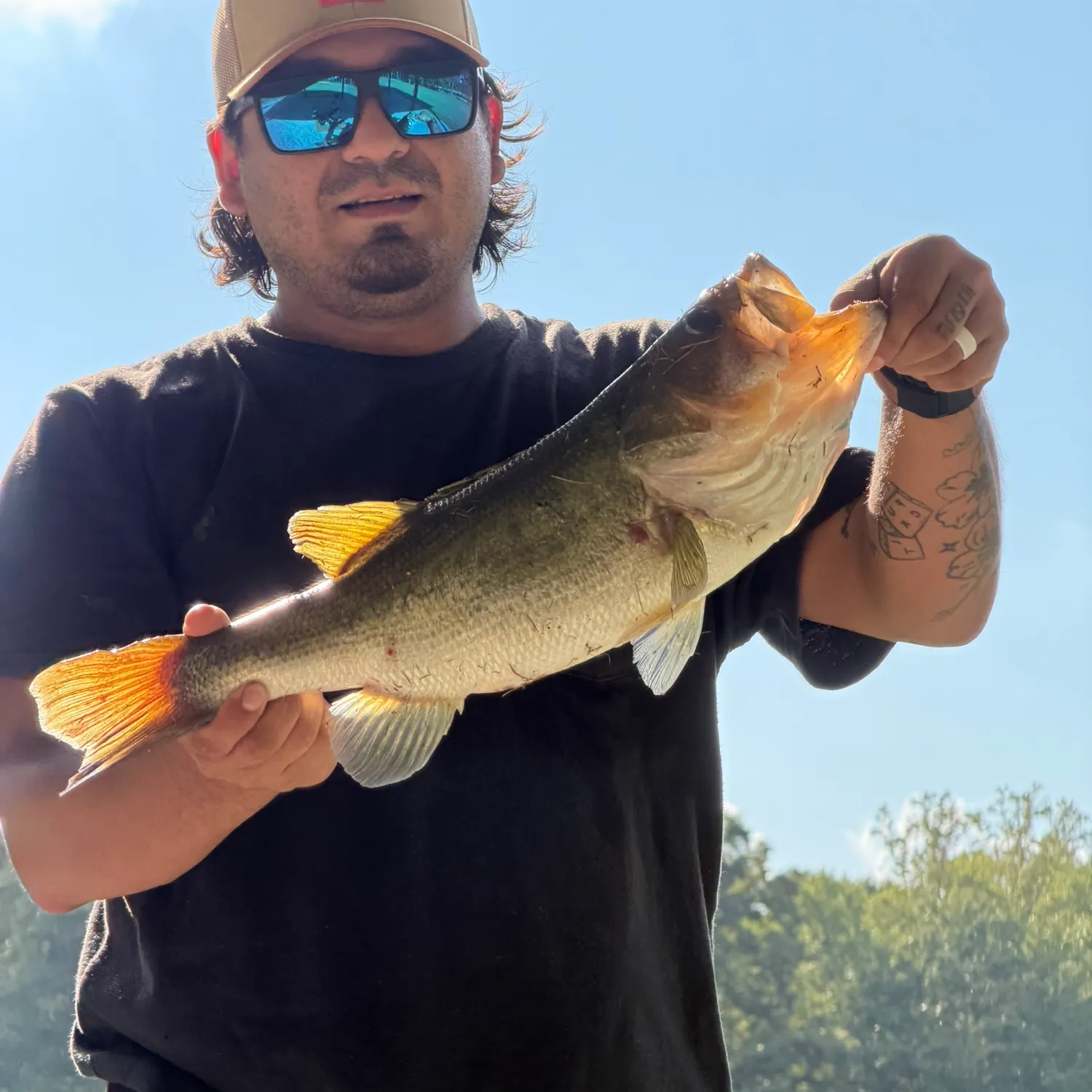 Largemouth bass caught on Fishbrain