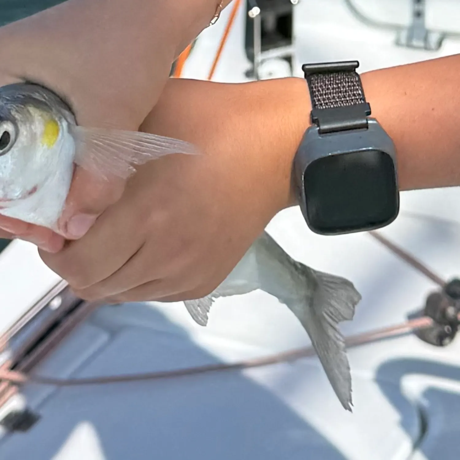 catch