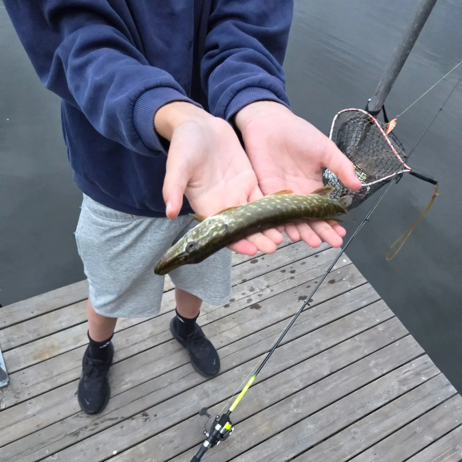 Fish caught on Fishbrain