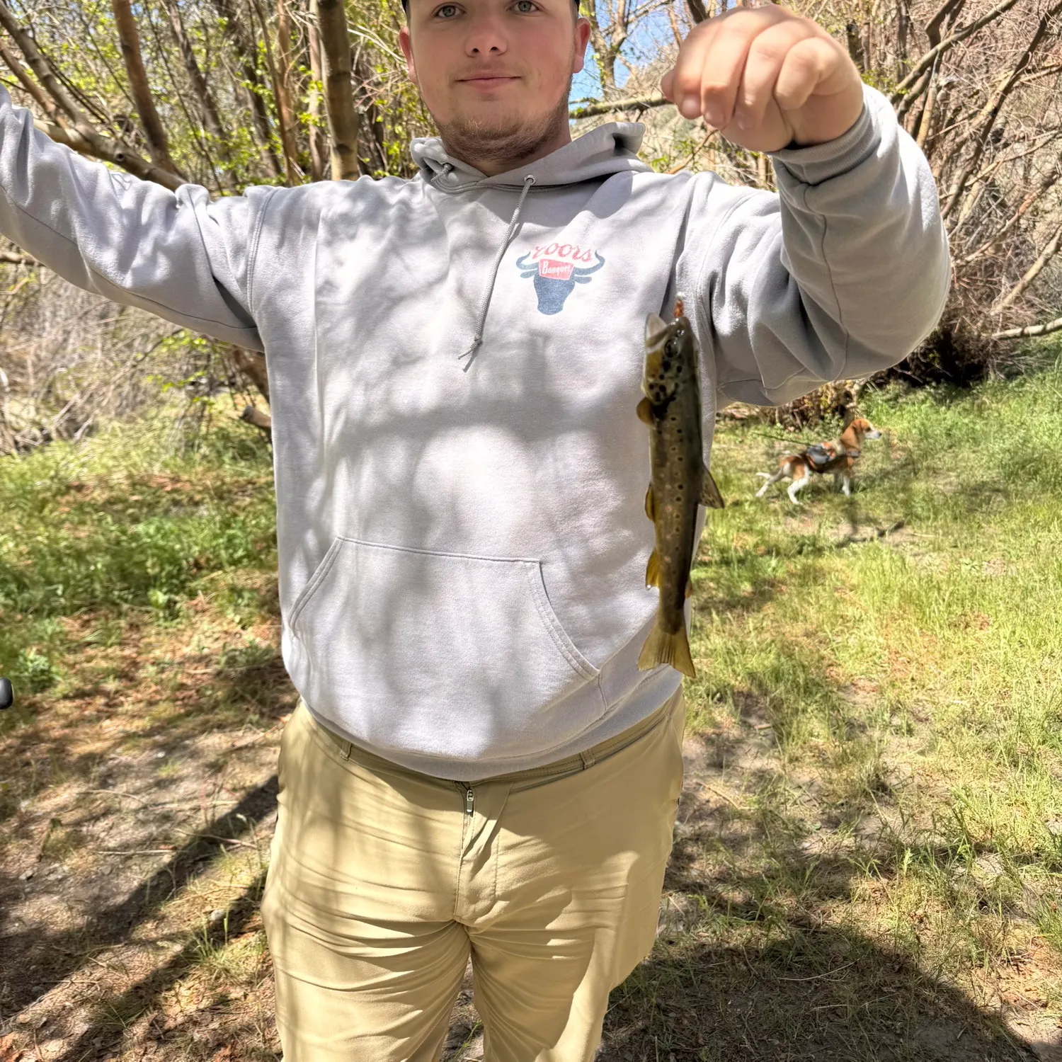 The most recent Brown trout catches on Fishbrain