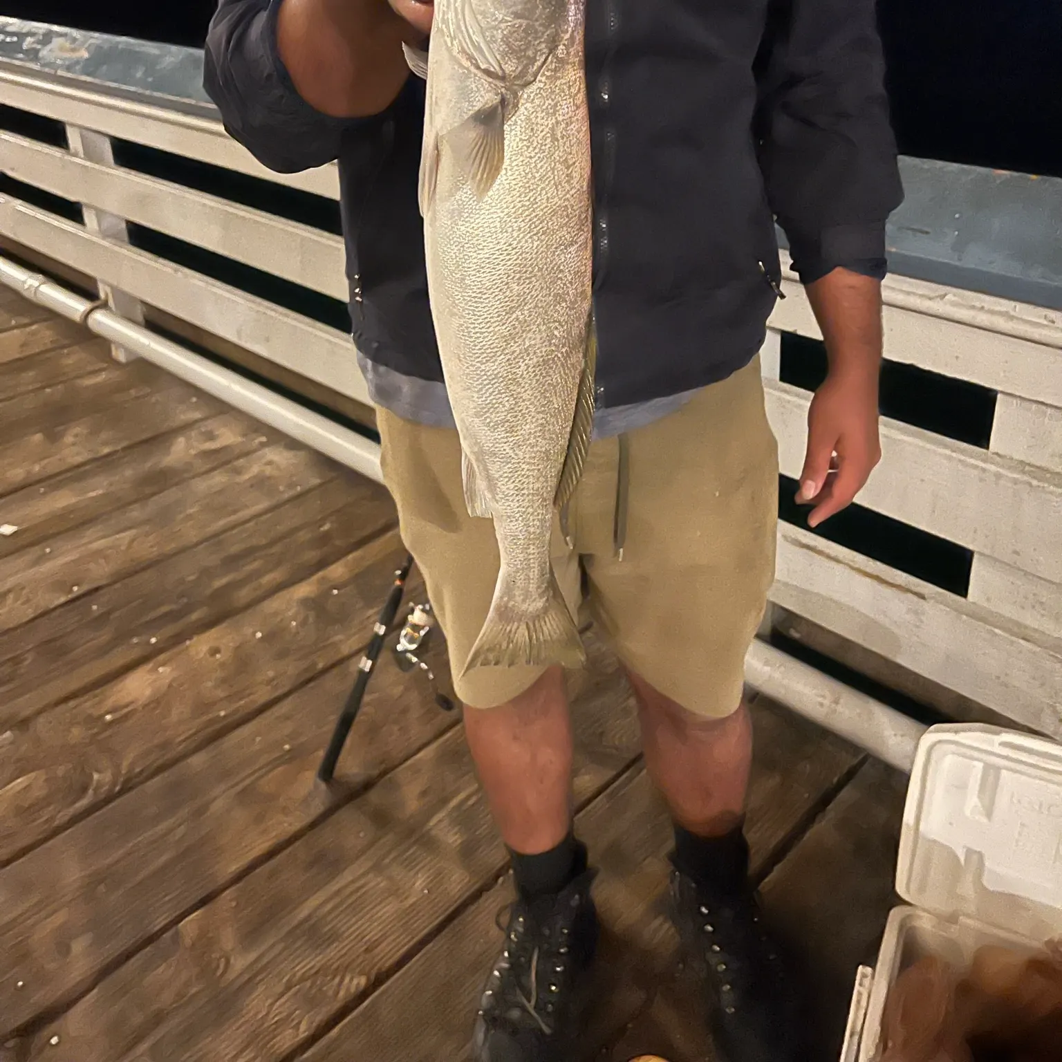 The most recent Orangemouth weakfish catches on Fishbrain