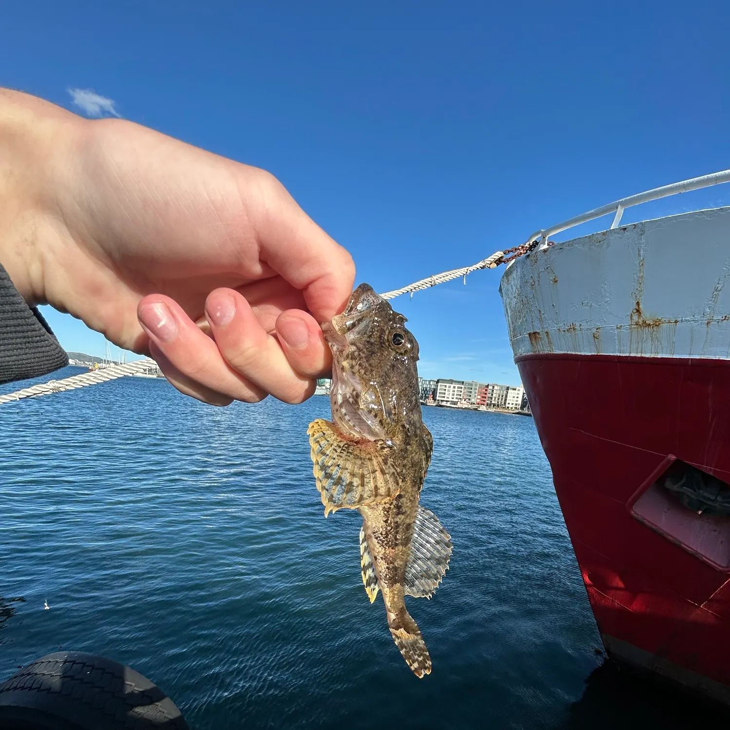 catch