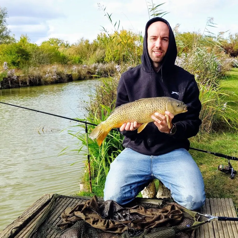 Common carp caught on Fishbrain