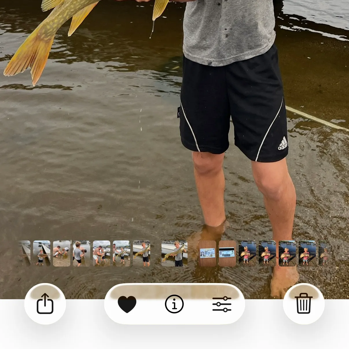 Northern pike caught on Fishbrain