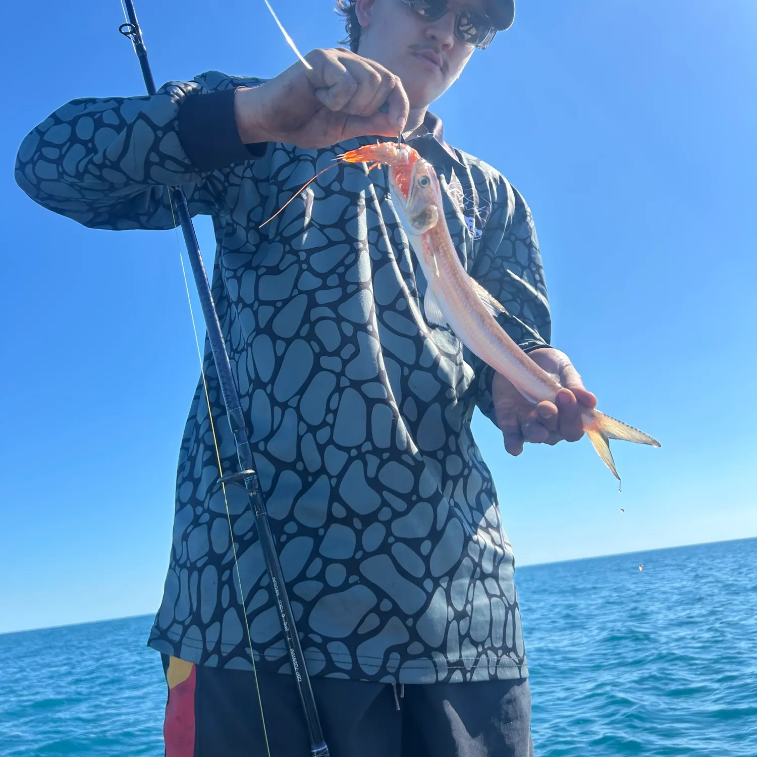 The most recent Giant mud crab catches on Fishbrain