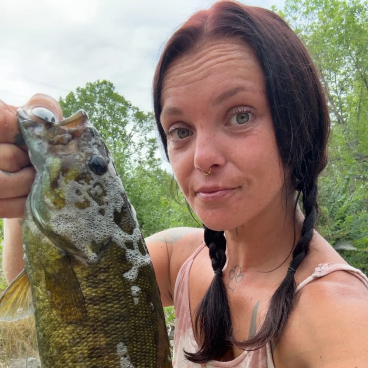 Smallmouth bass caught on Fishbrain