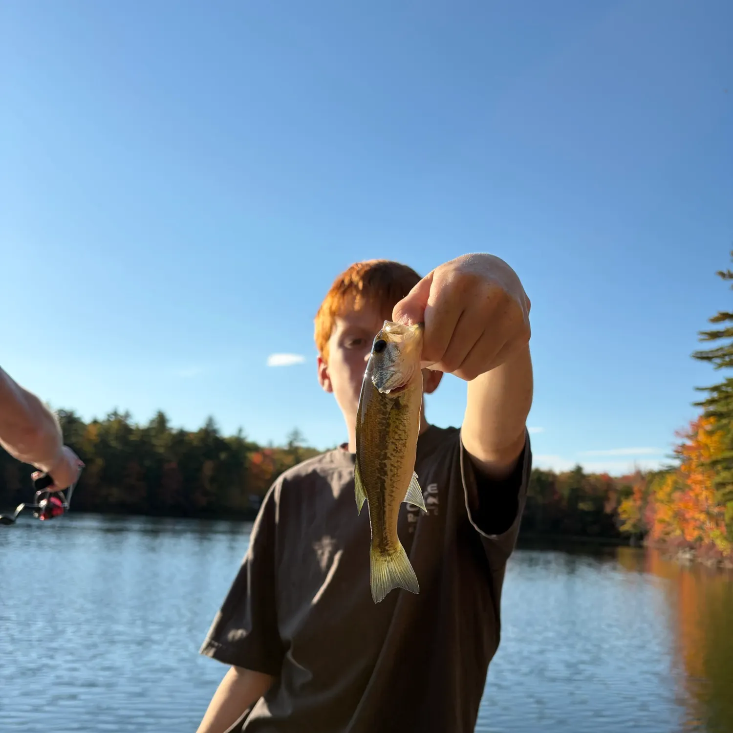 Fish caught on Fishbrain